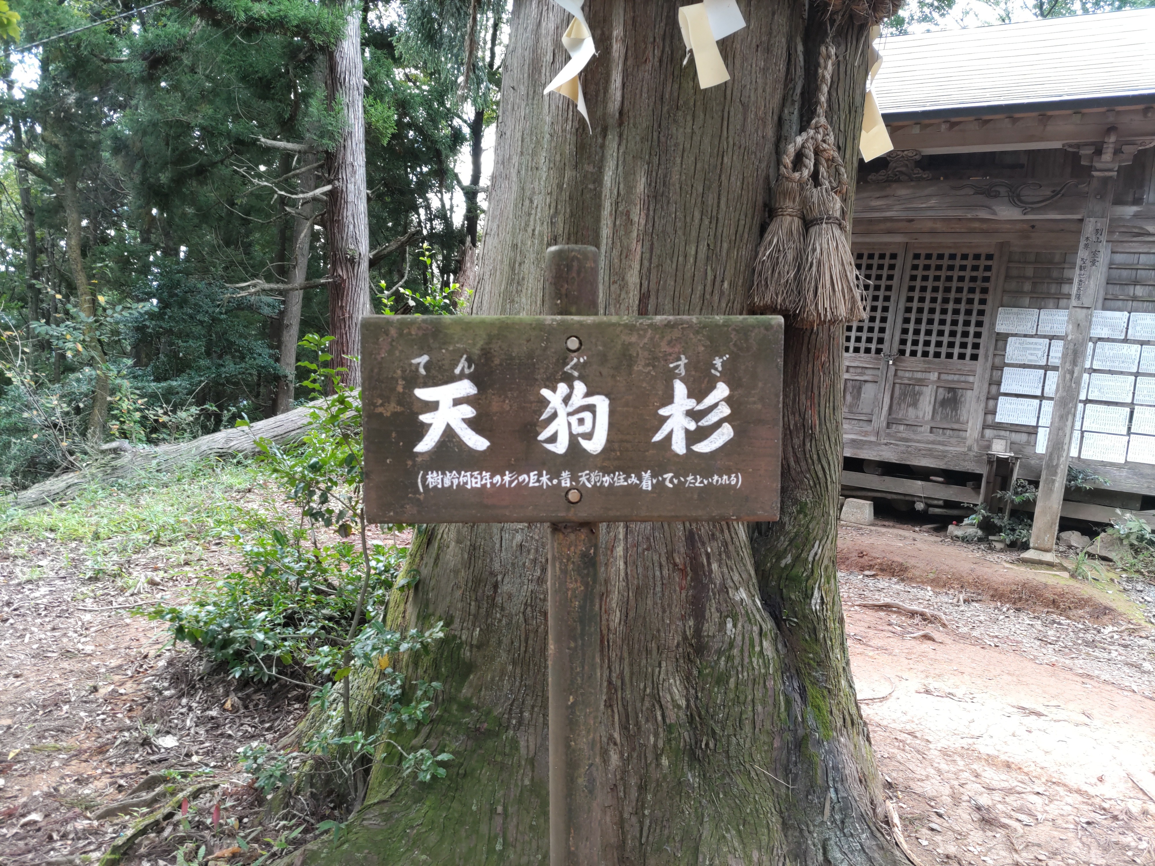 f:id:ninasimone:20221003162335j:image