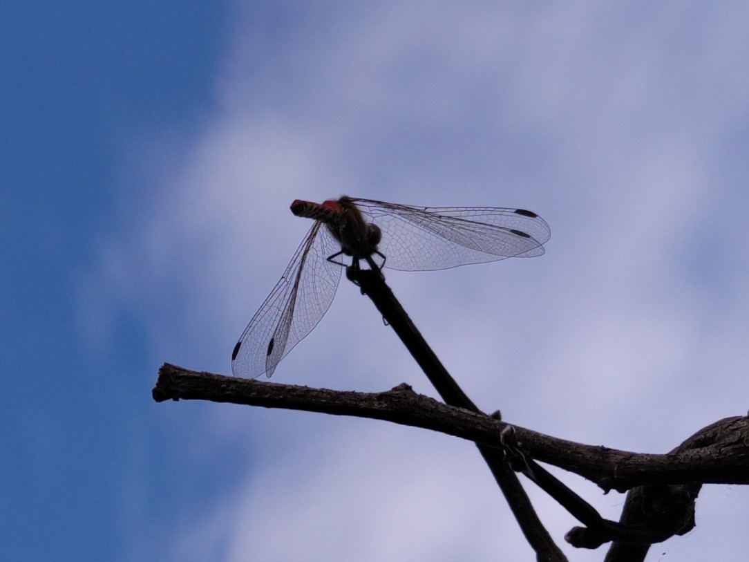 f:id:ninasimone:20221012063735j:image f:id:ninasimone:20221012063735j:image