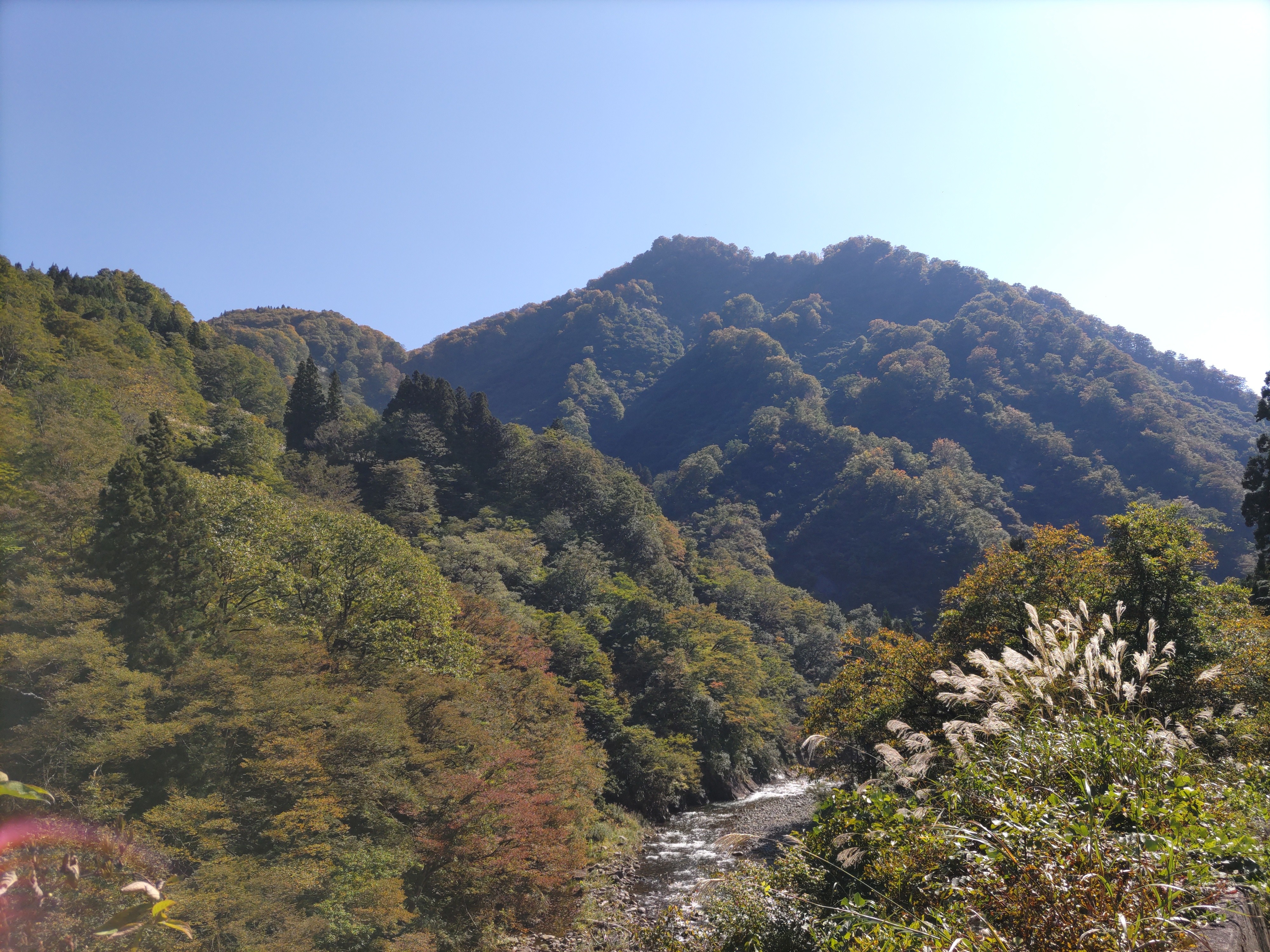 f:id:ninasimone:20221018230752j:image