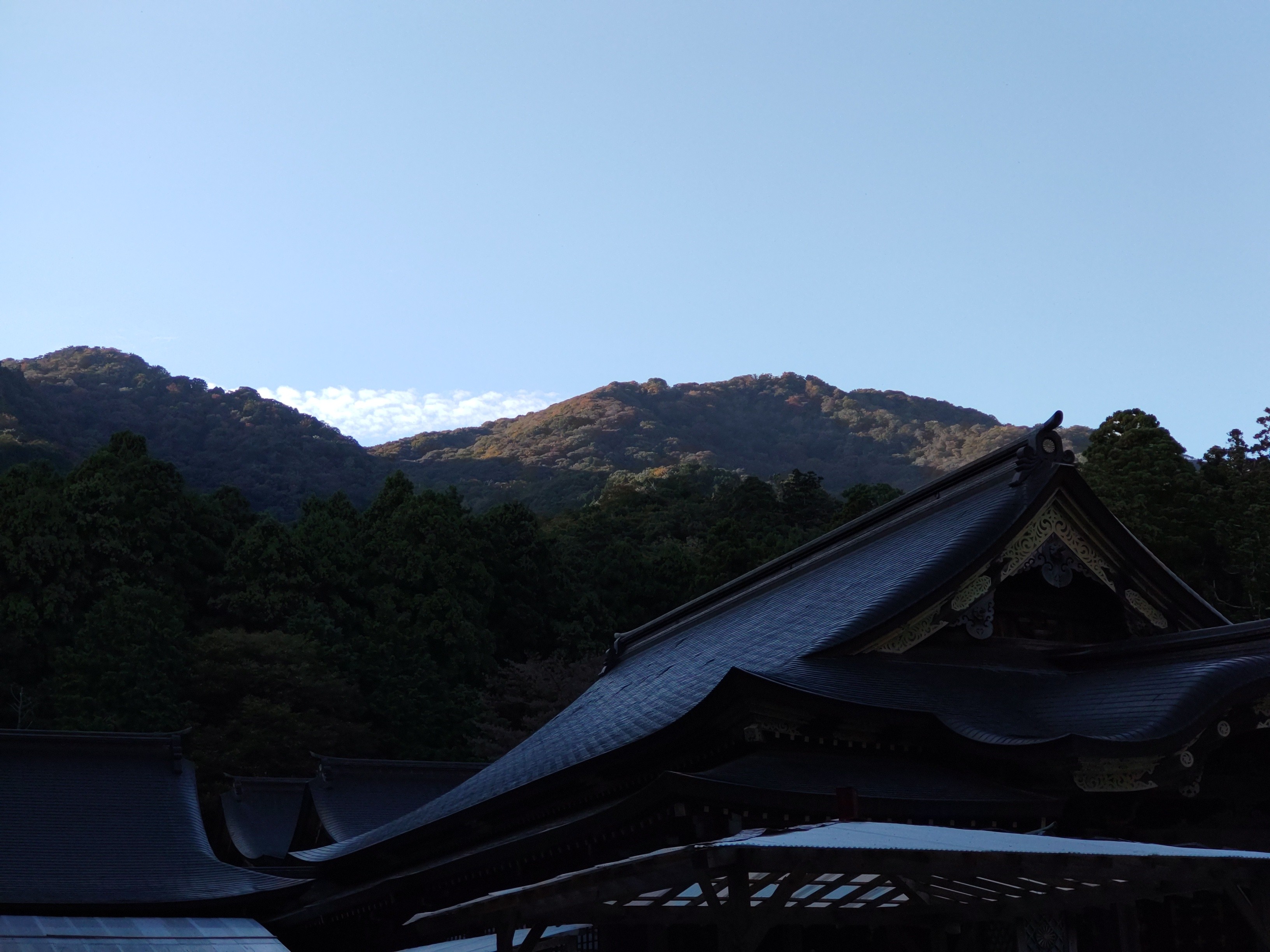 f:id:ninasimone:20221021125625j:image