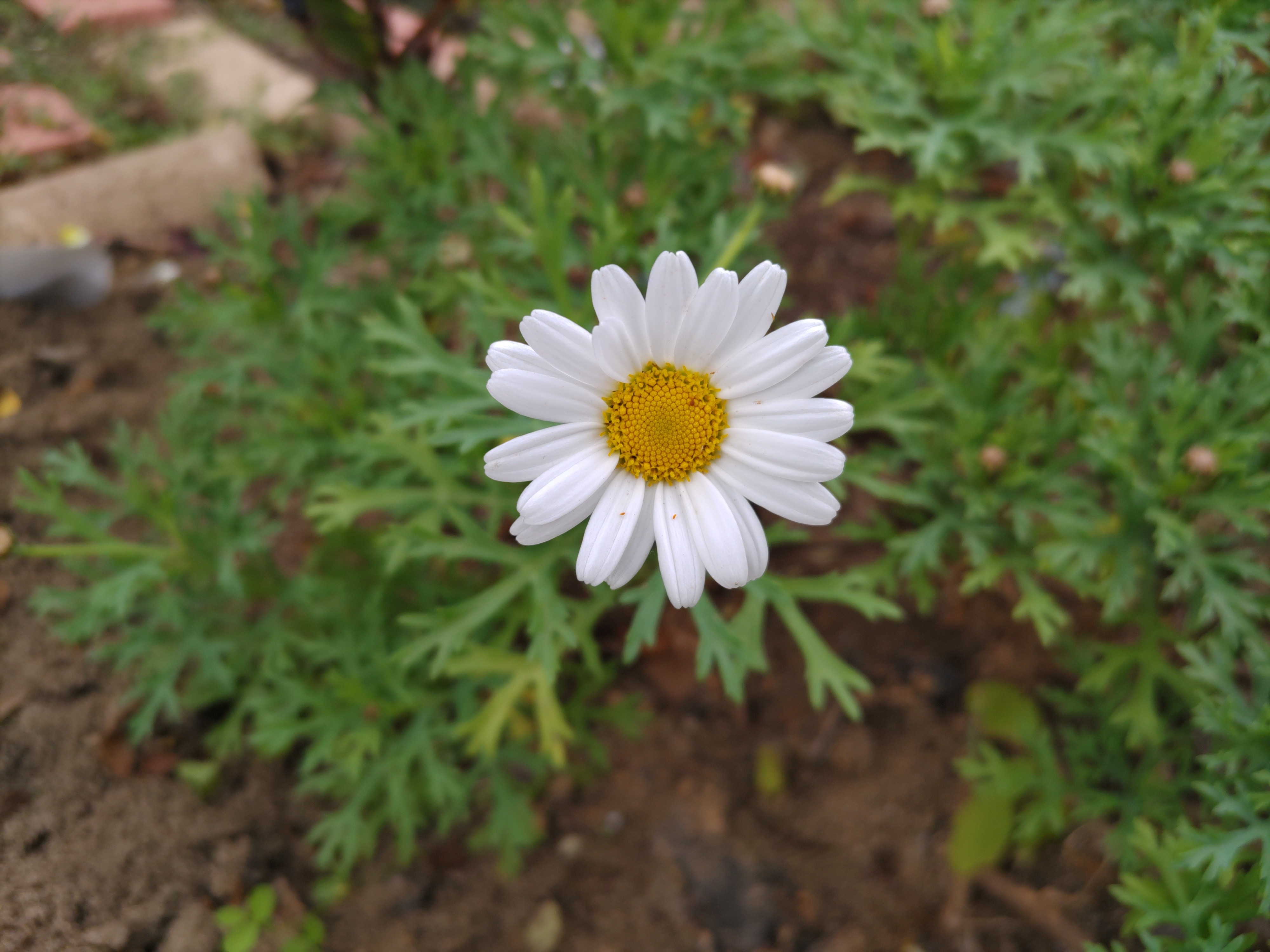 f:id:ninasimone:20221126165957j:image f:id:ninasimone:20221126165957j:image
