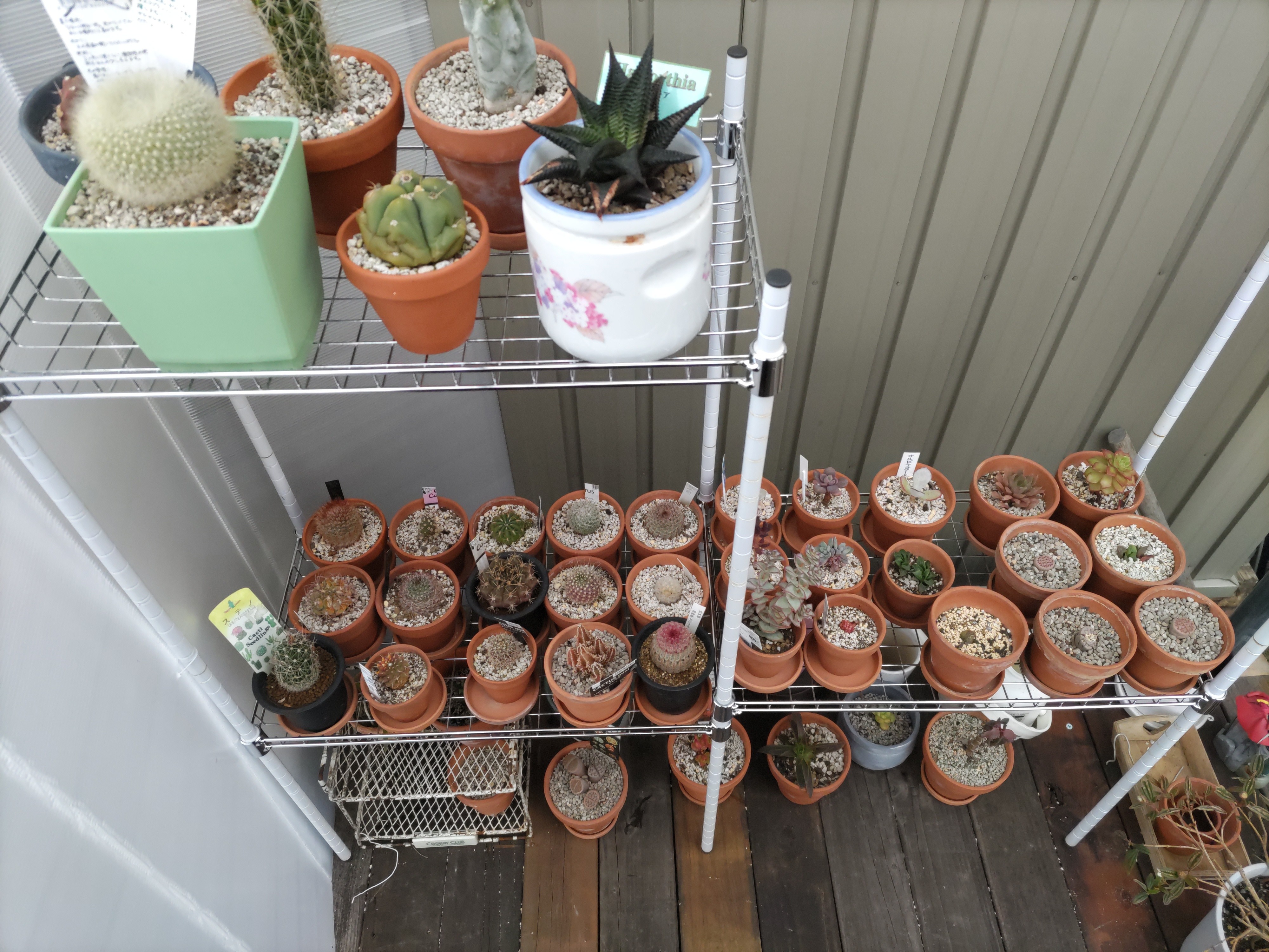 f:id:ninasimone:20221227181240j:image f:id:ninasimone:20221227181240j:image