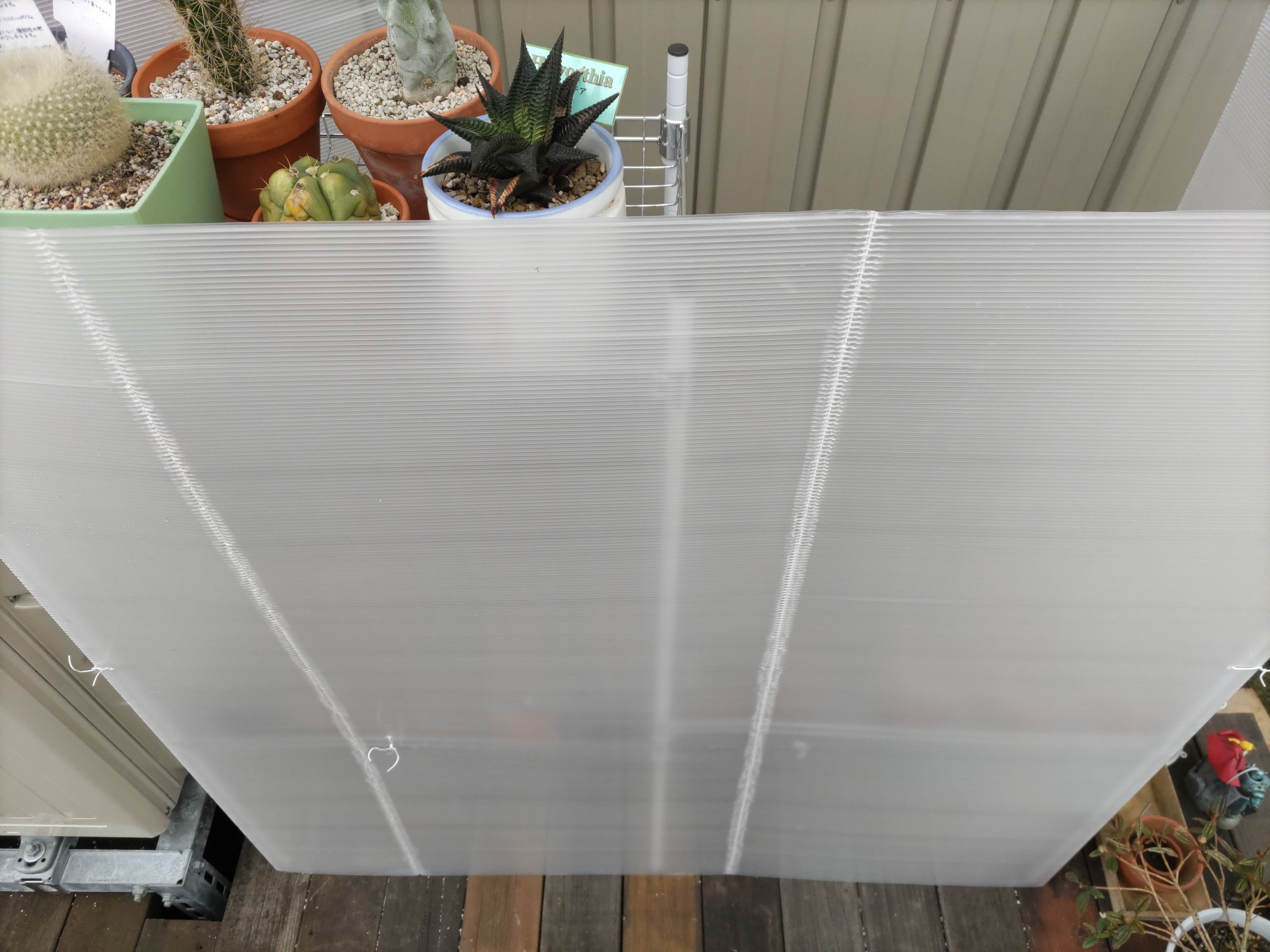 f:id:ninasimone:20221227181301j:image f:id:ninasimone:20221227181301j:image