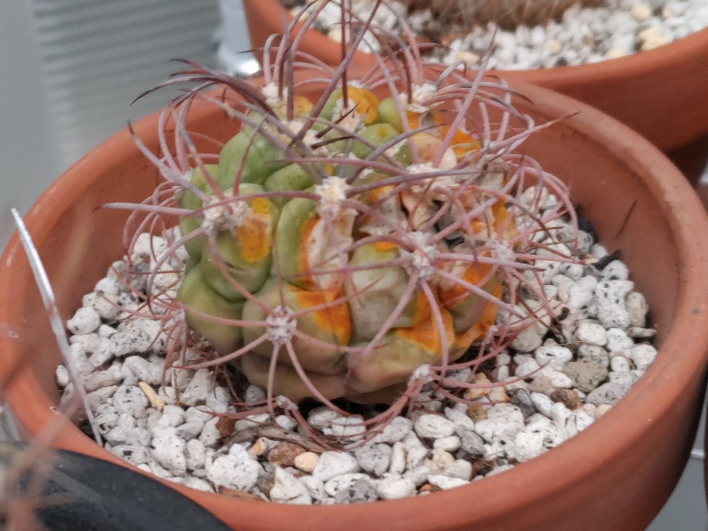 f:id:ninasimone:20221227181527j:image f:id:ninasimone:20221227181527j:image