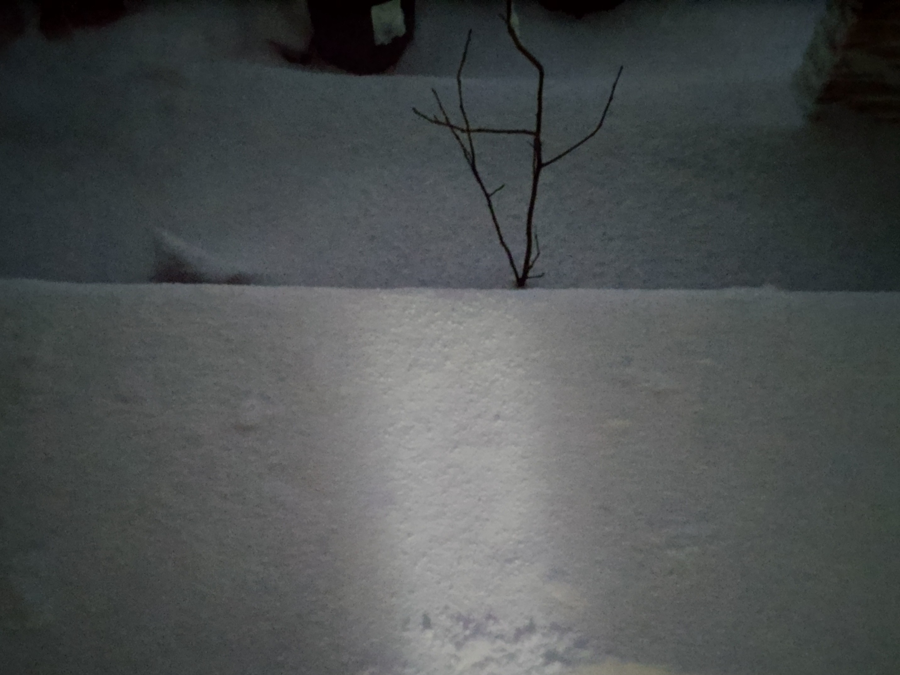 f:id:ninasimone:20230125064222j:image