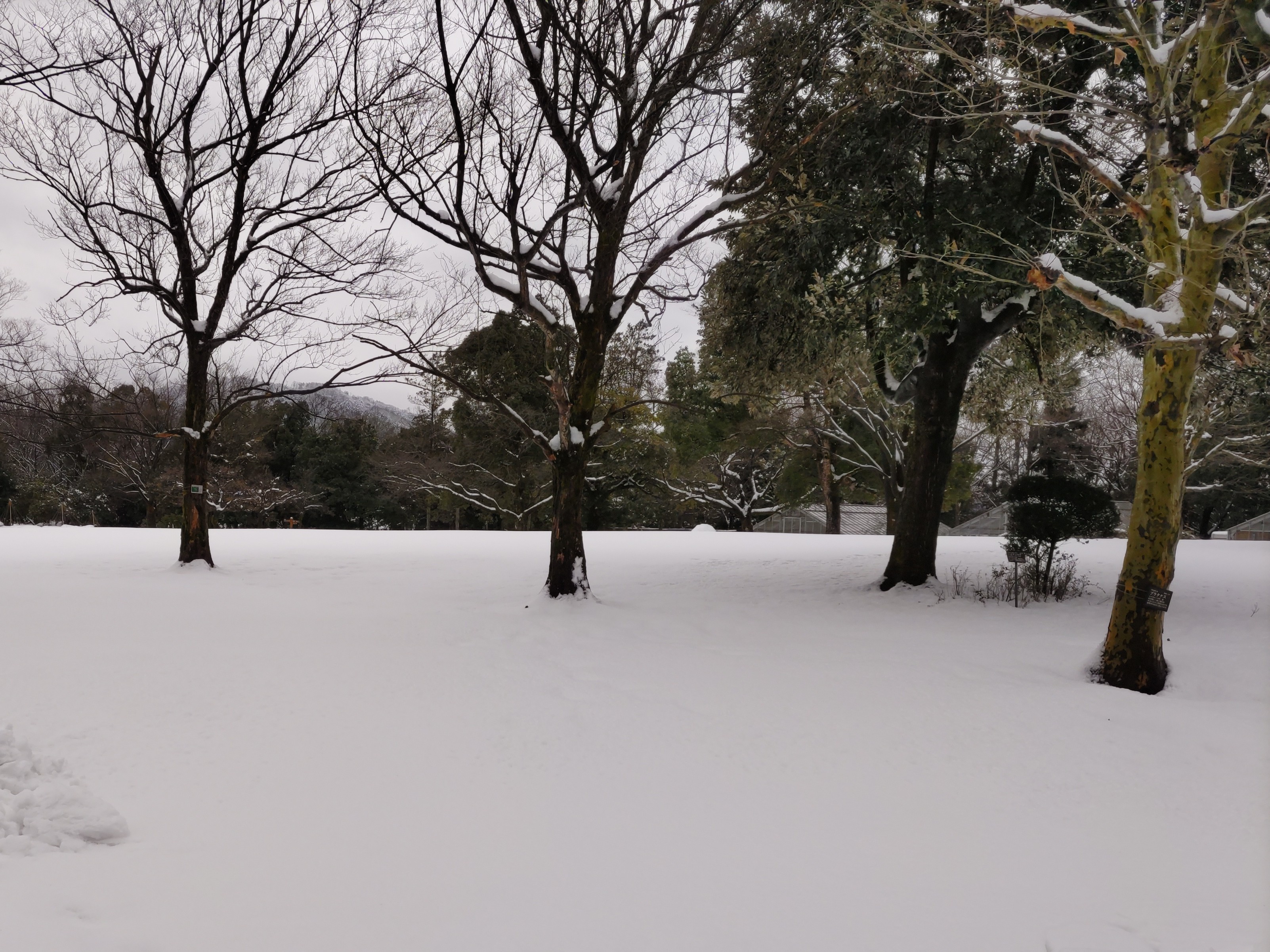 f:id:ninasimone:20230127131410j:image f:id:ninasimone:20230127131410j:image