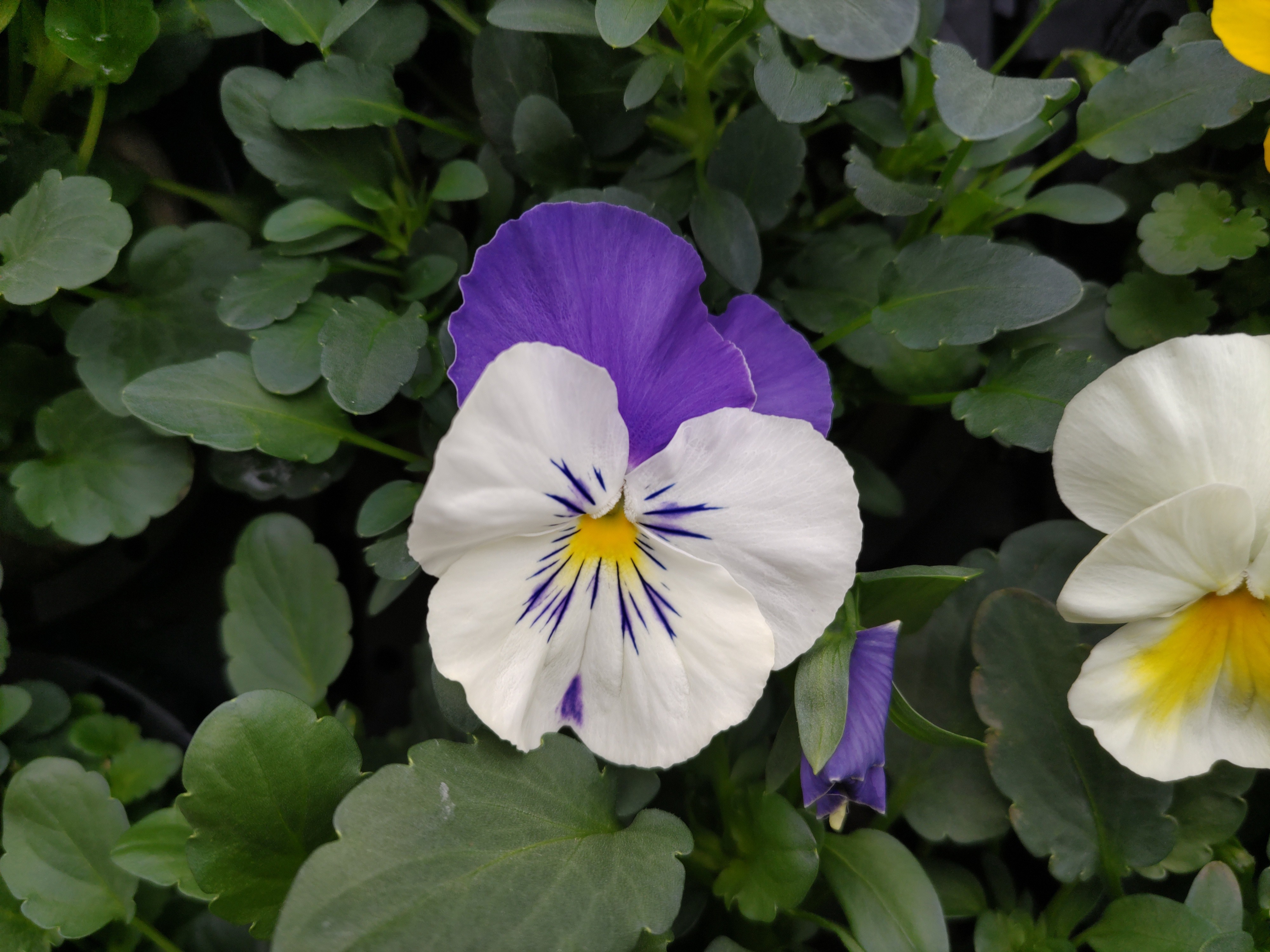 f:id:ninasimone:20230127131556j:image f:id:ninasimone:20230127131556j:image