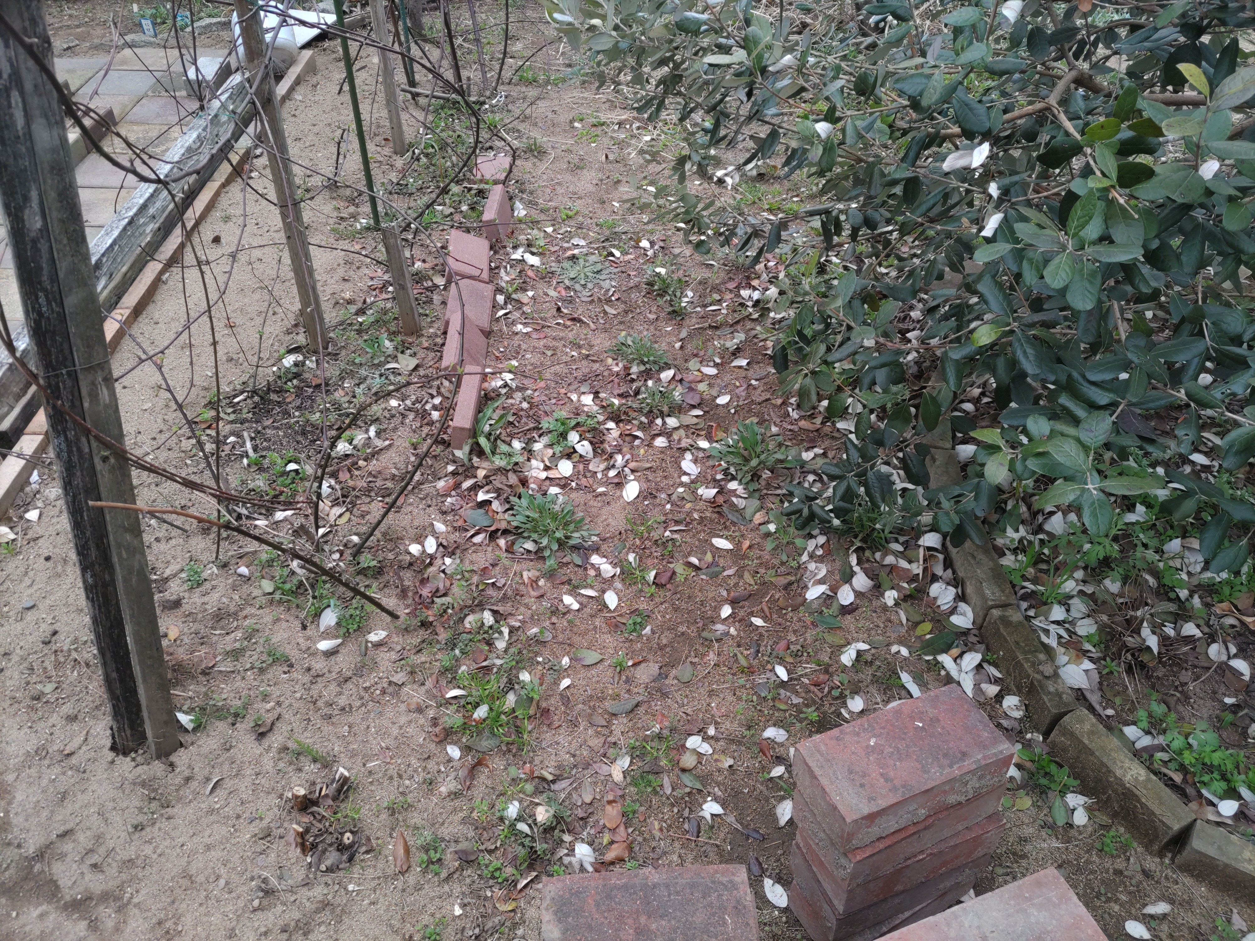 f:id:ninasimone:20230323102458j:image