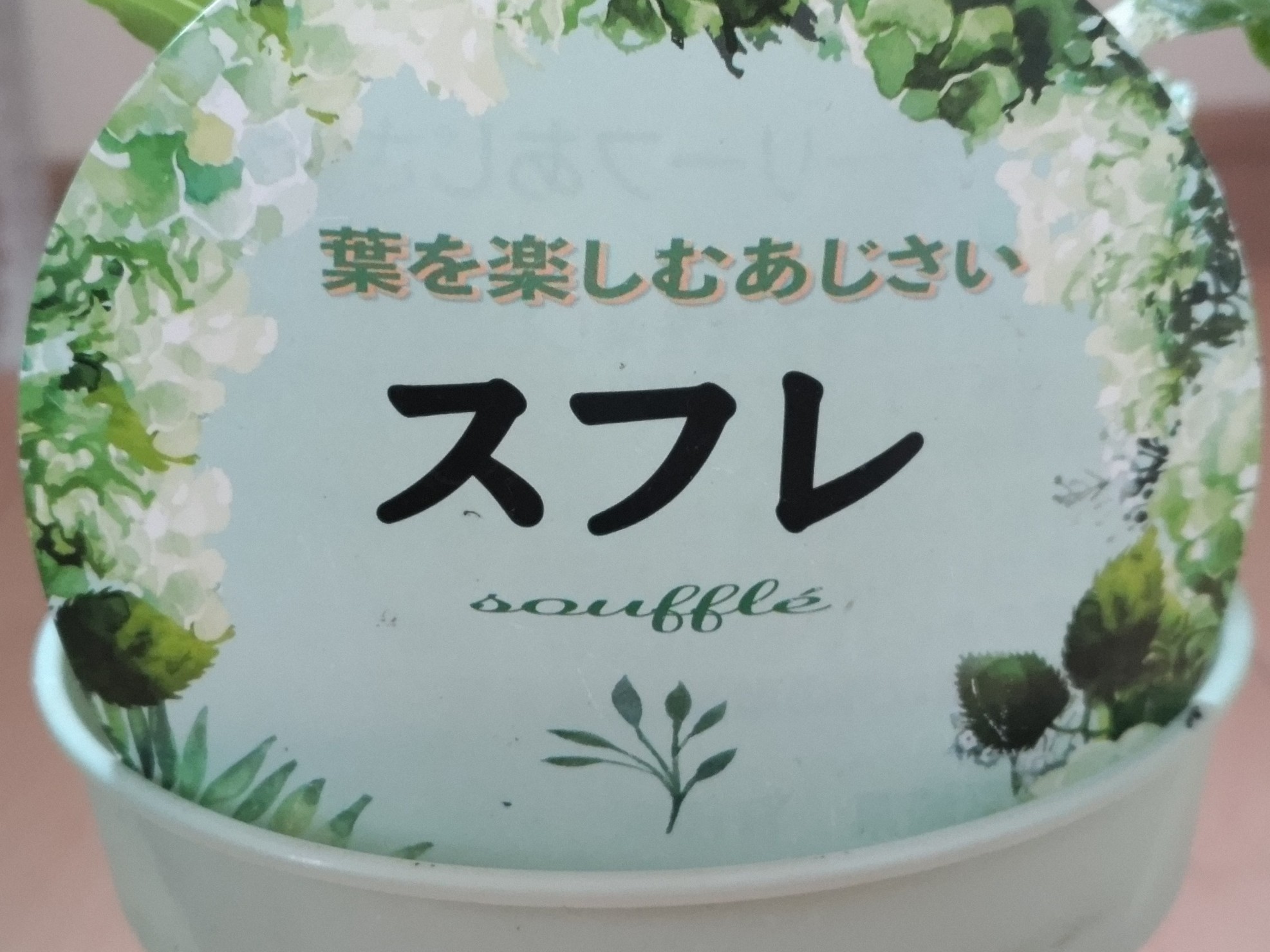 f:id:ninasimone:20230326161512j:image f:id:ninasimone:20230326161512j:image