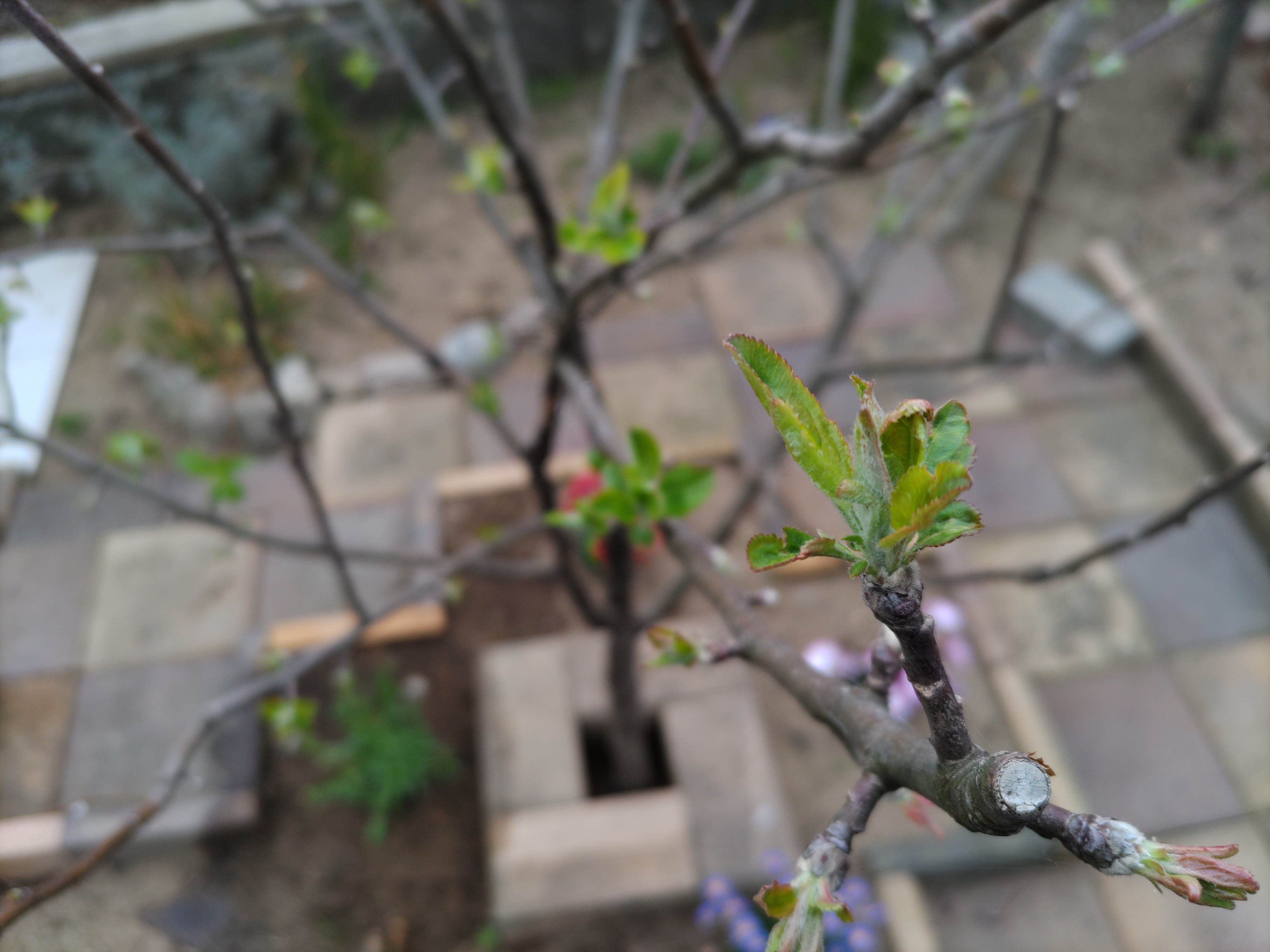 f:id:ninasimone:20230405090907j:image f:id:ninasimone:20230405090907j:image