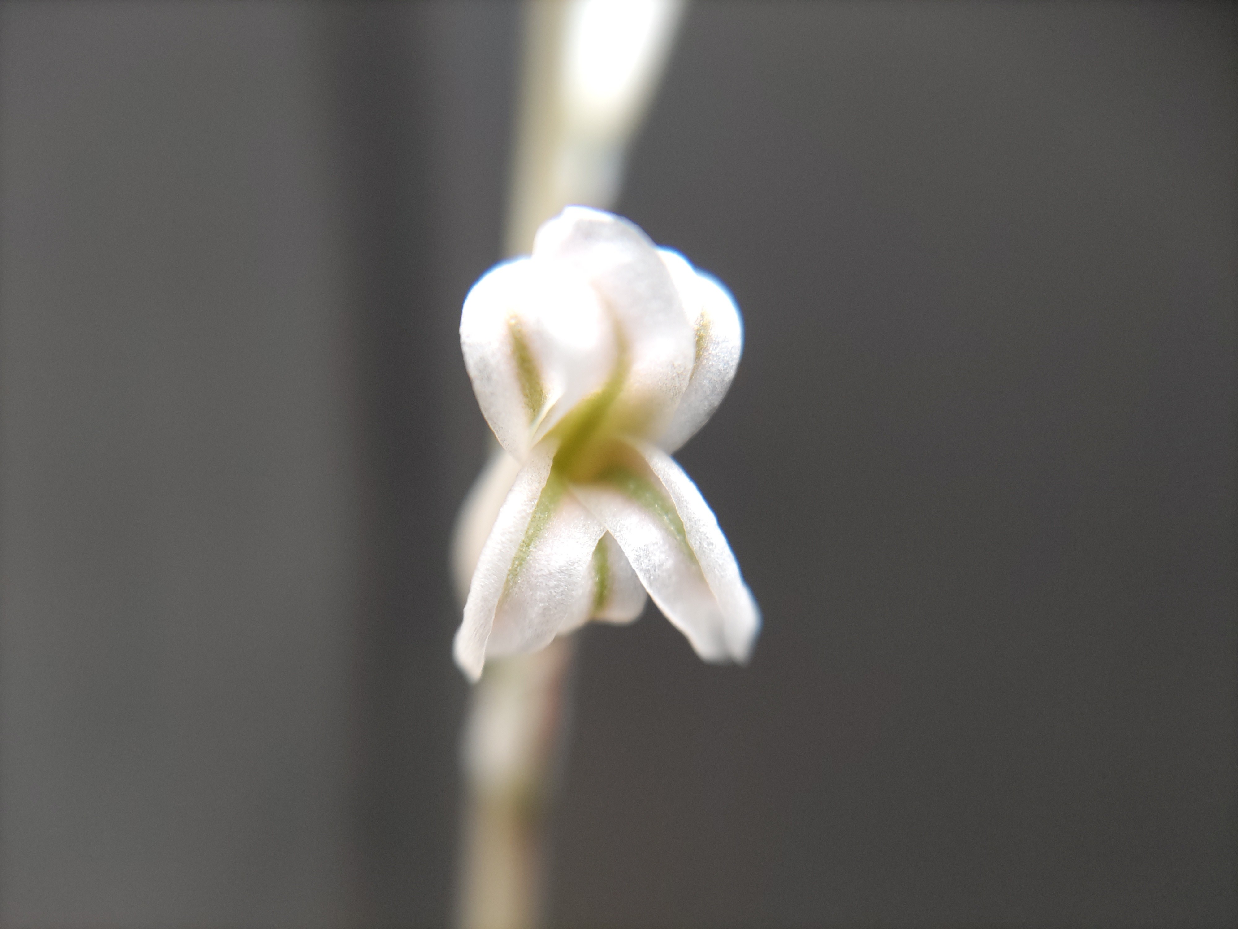 f:id:ninasimone:20230414151438j:image f:id:ninasimone:20230414151438j:image