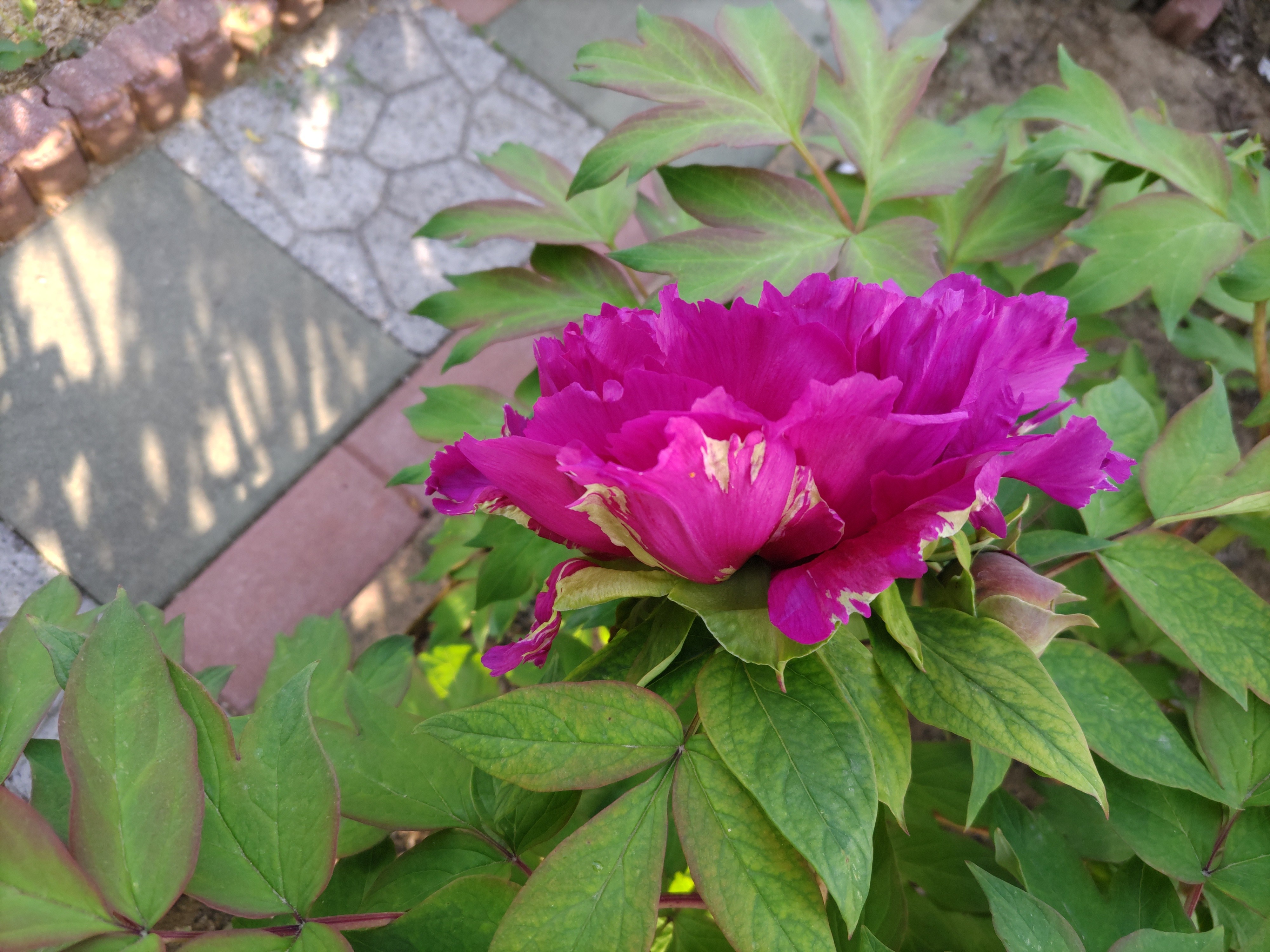 f:id:ninasimone:20230420231408j:image