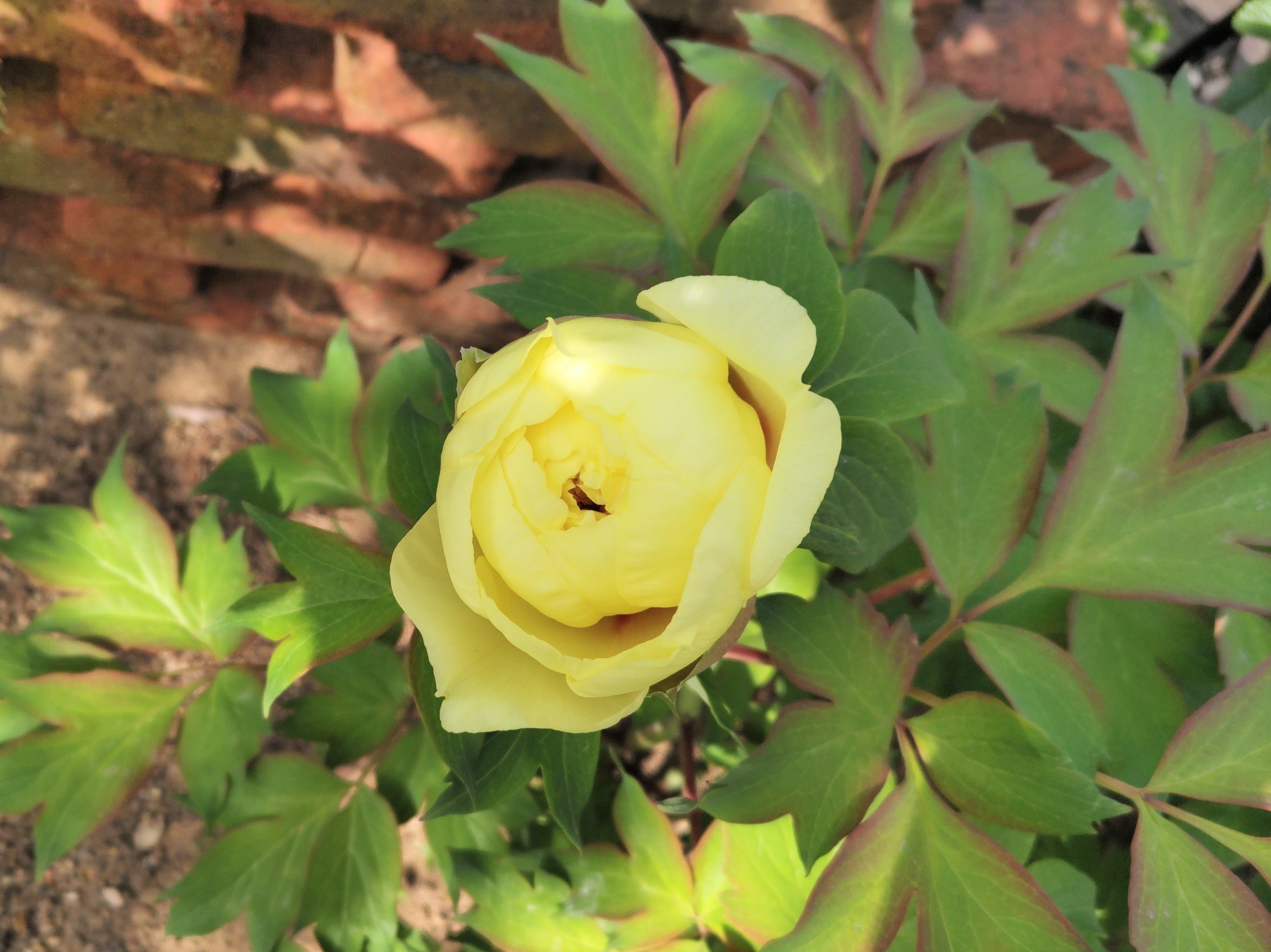 f:id:ninasimone:20230423220433j:image