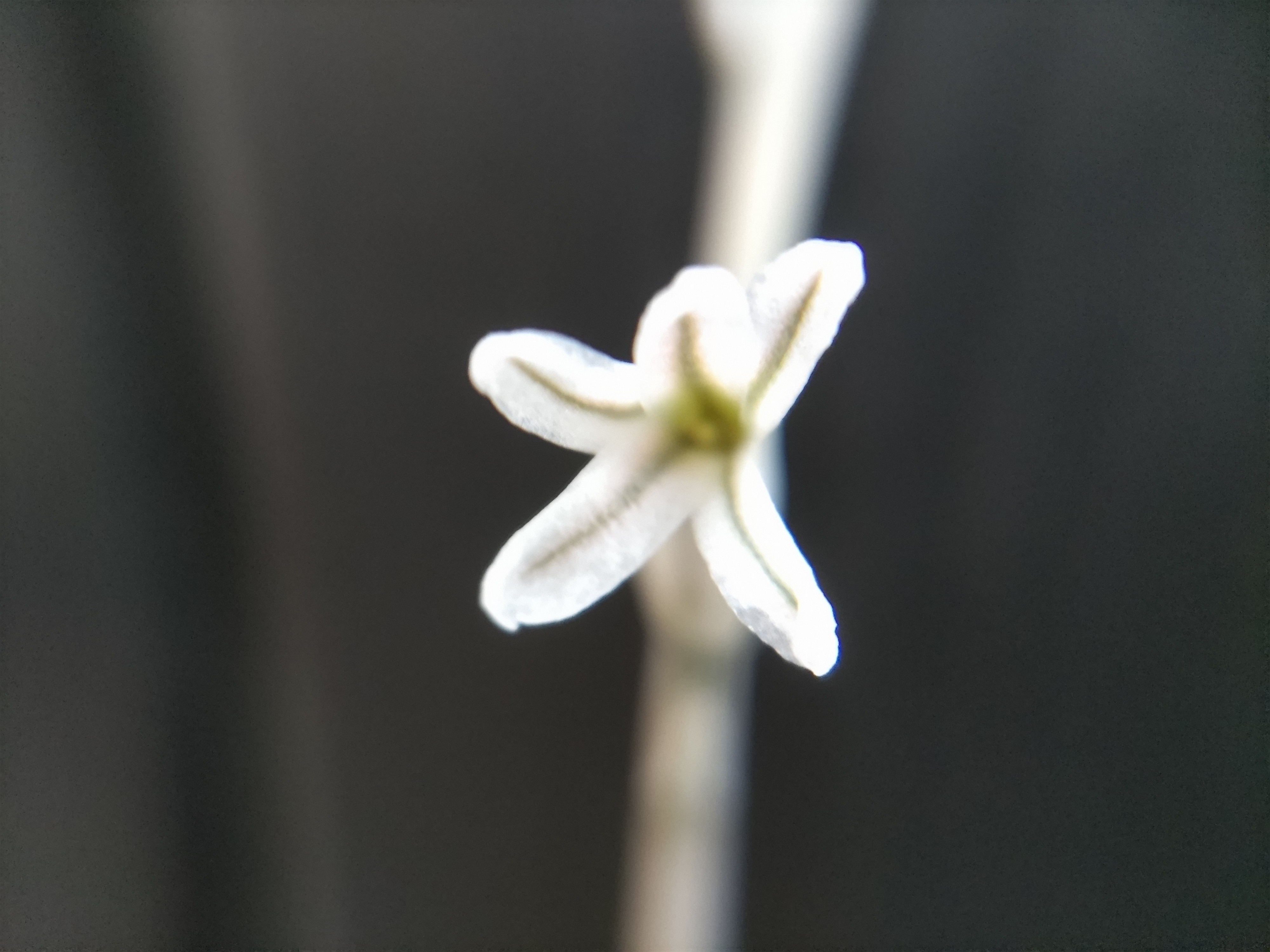 f:id:ninasimone:20230427181926j:image f:id:ninasimone:20230427181926j:image