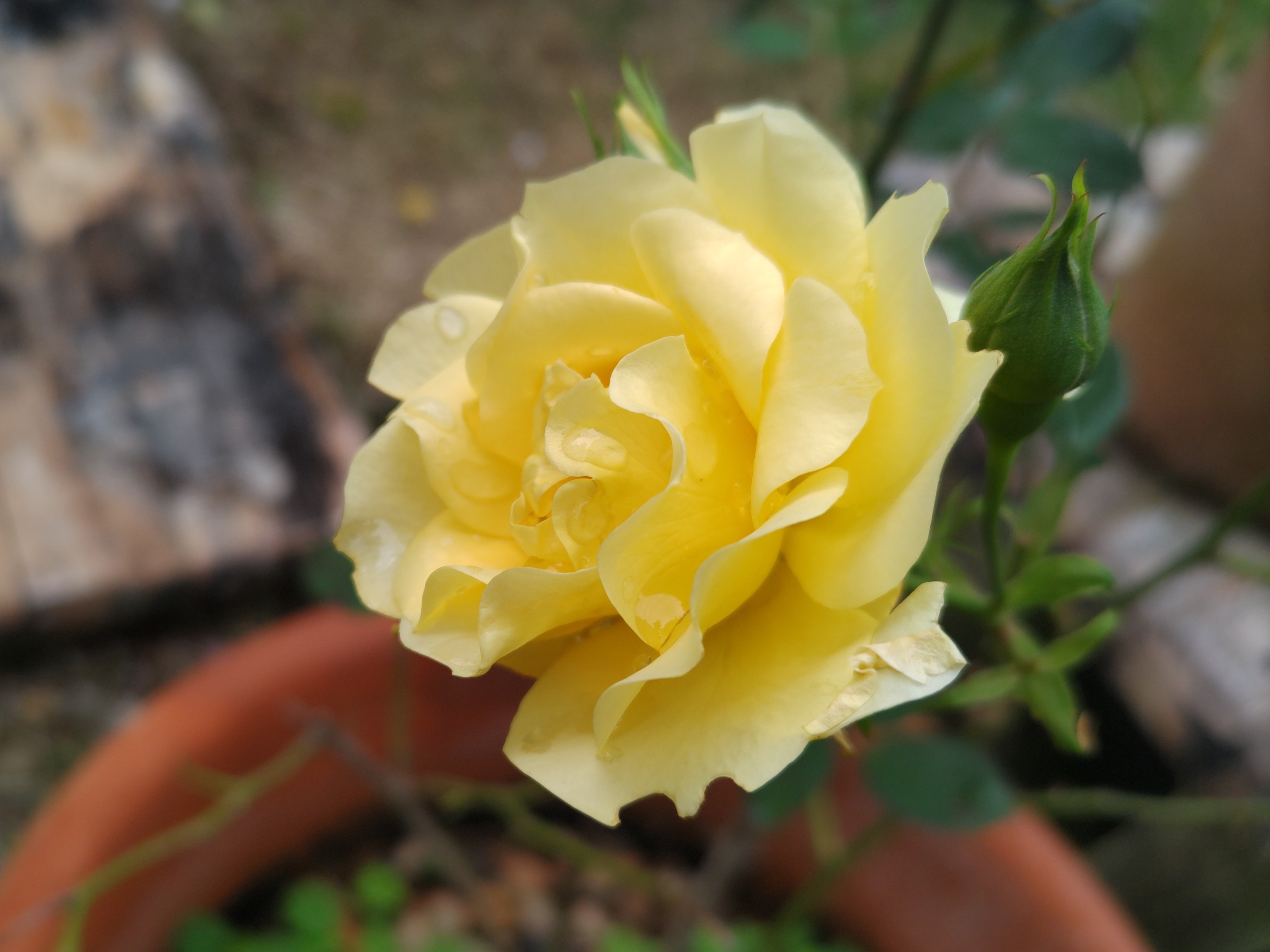 f:id:ninasimone:20230519163741j:image