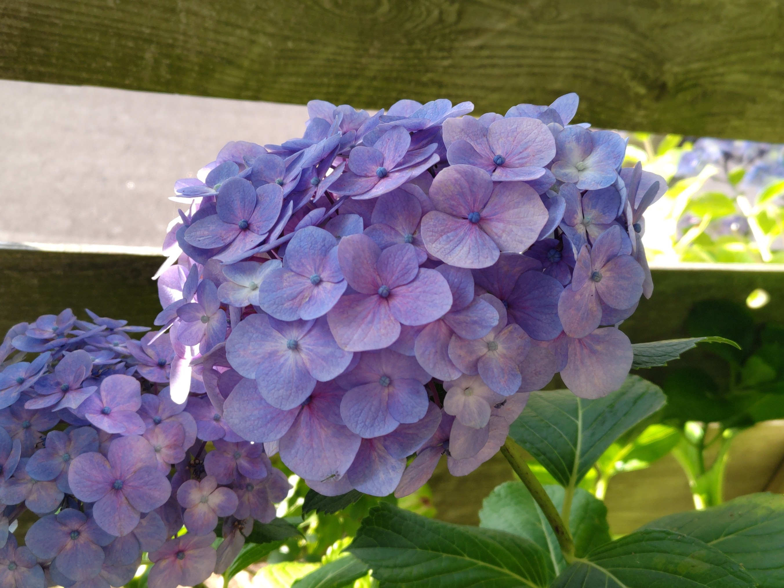 f:id:ninasimone:20230625062352j:image