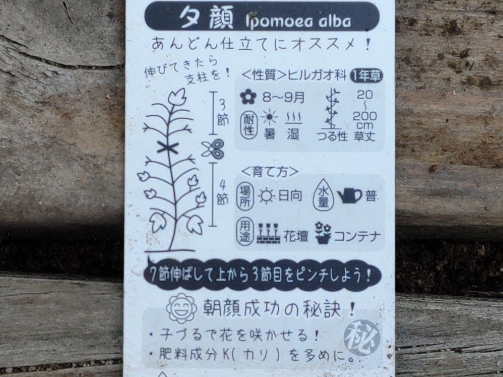 f:id:ninasimone:20230707124713j:image