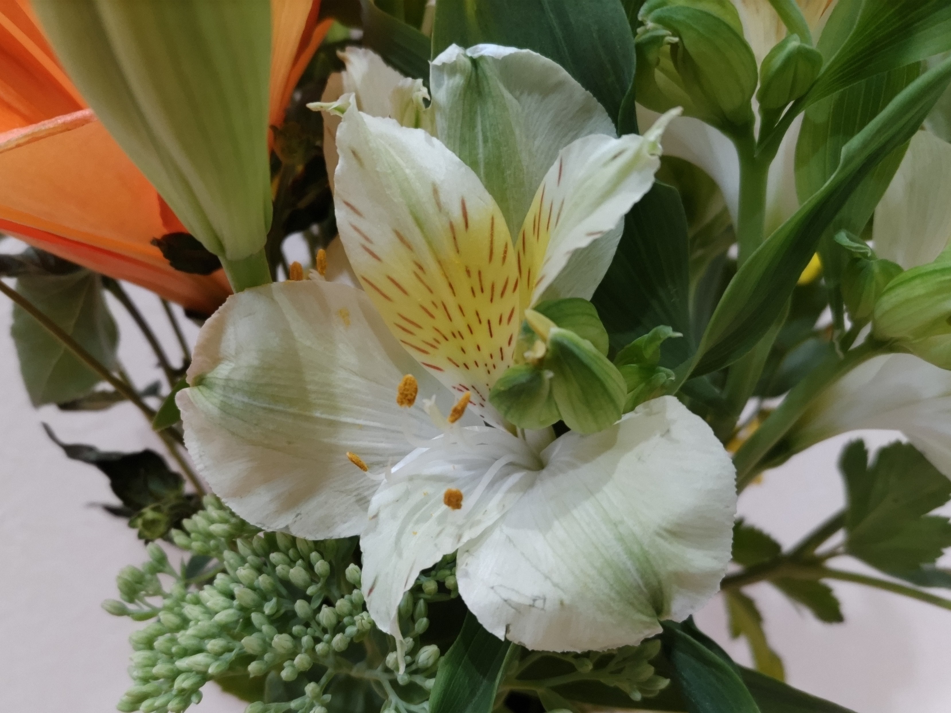 f:id:ninasimone:20230708065747j:image