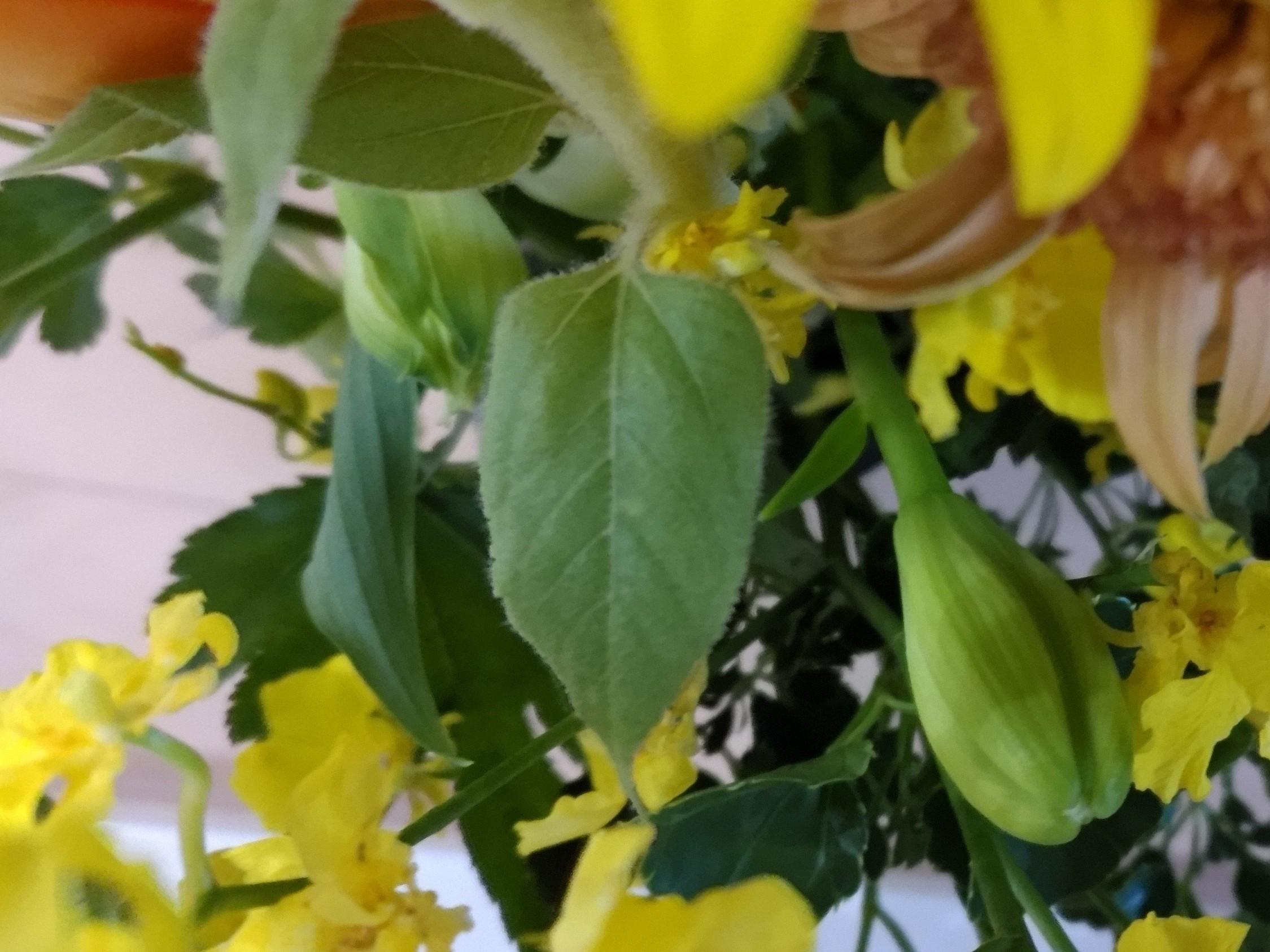 f:id:ninasimone:20230708070907j:image