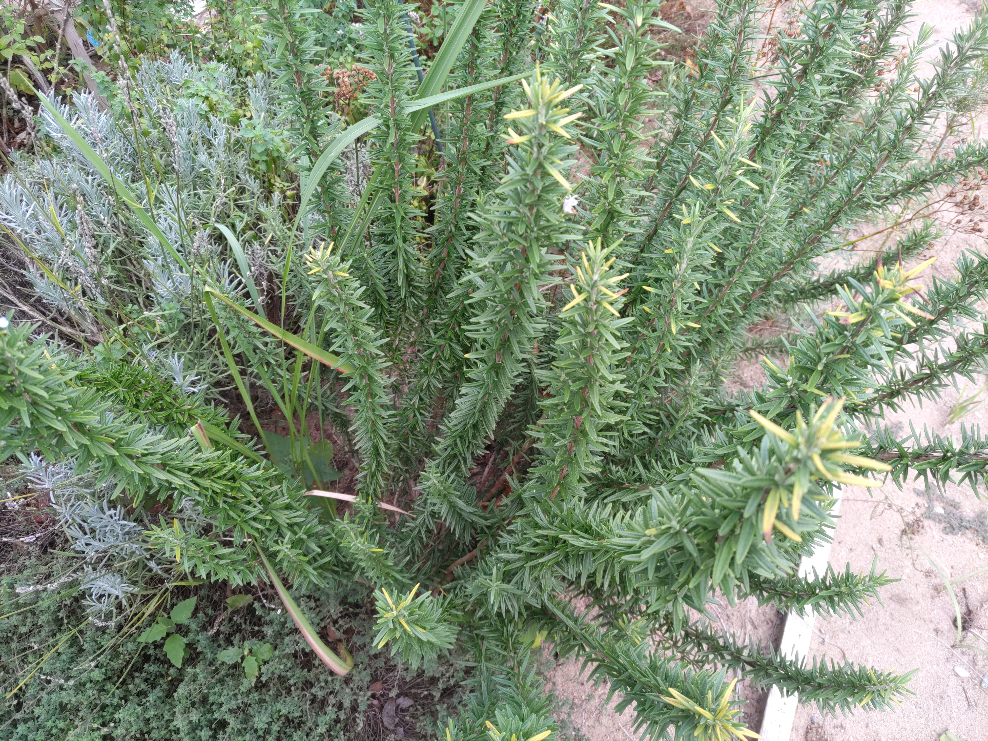 f:id:ninasimone:20230910175504j:image f:id:ninasimone:20230910175504j:image