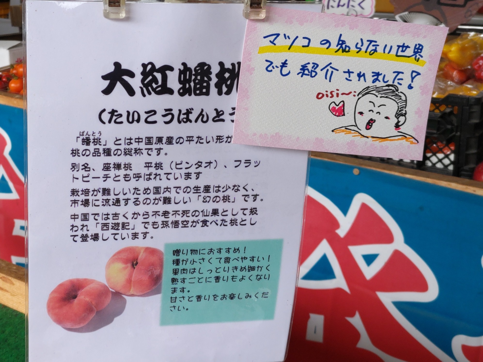 f:id:ninasimone:20230911165506j:image