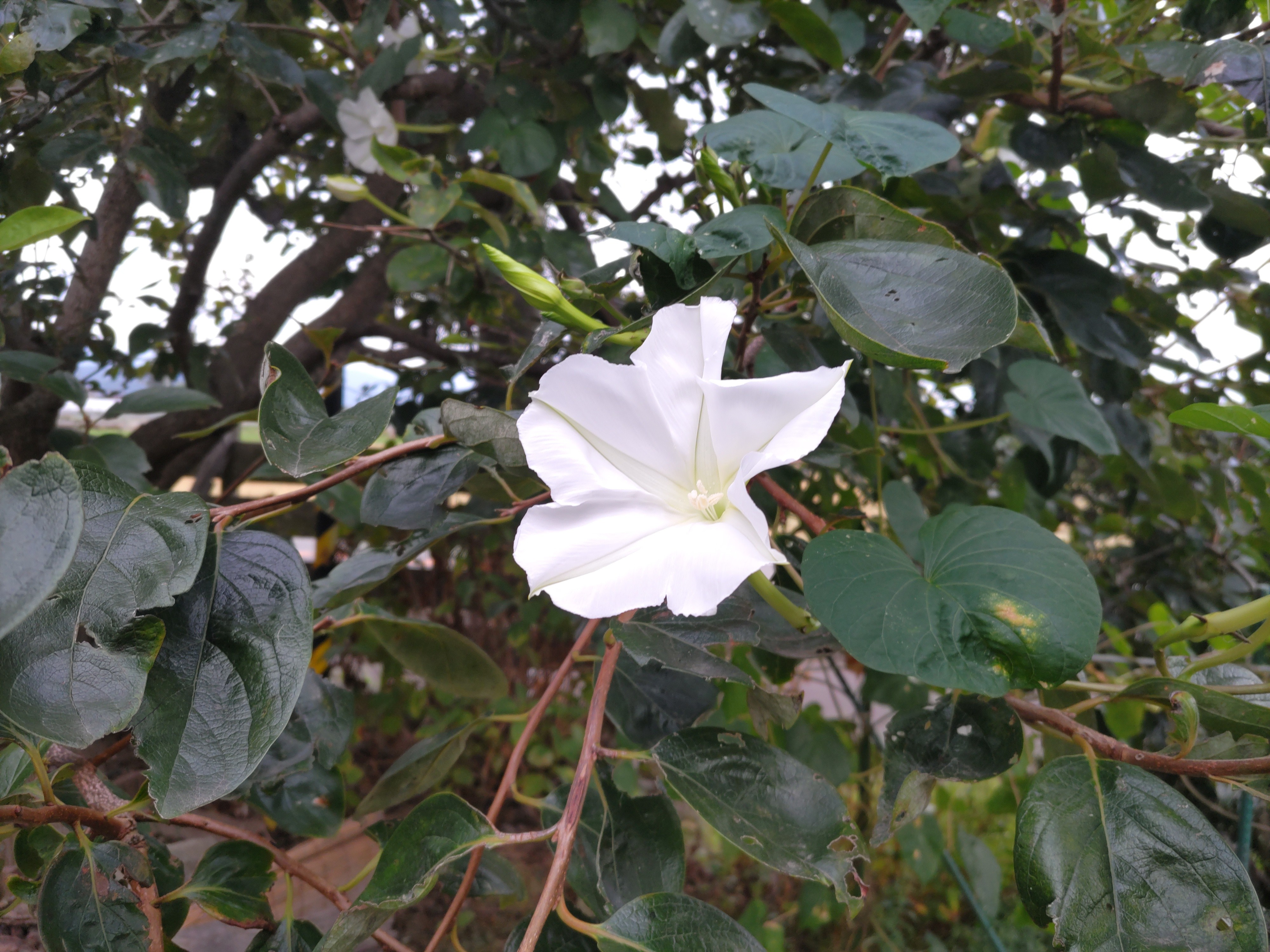f:id:ninasimone:20230911212251j:image f:id:ninasimone:20230911212251j:image
