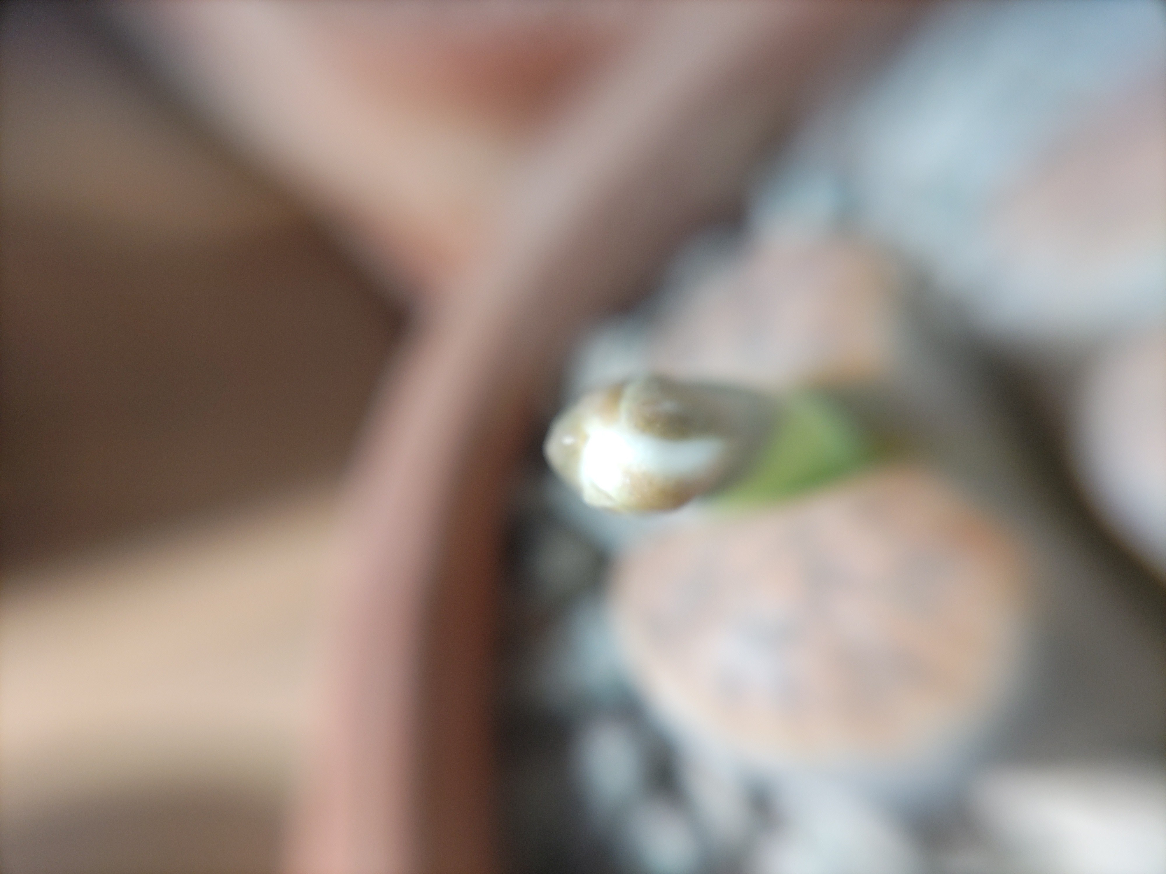 f:id:ninasimone:20231030182455j:image