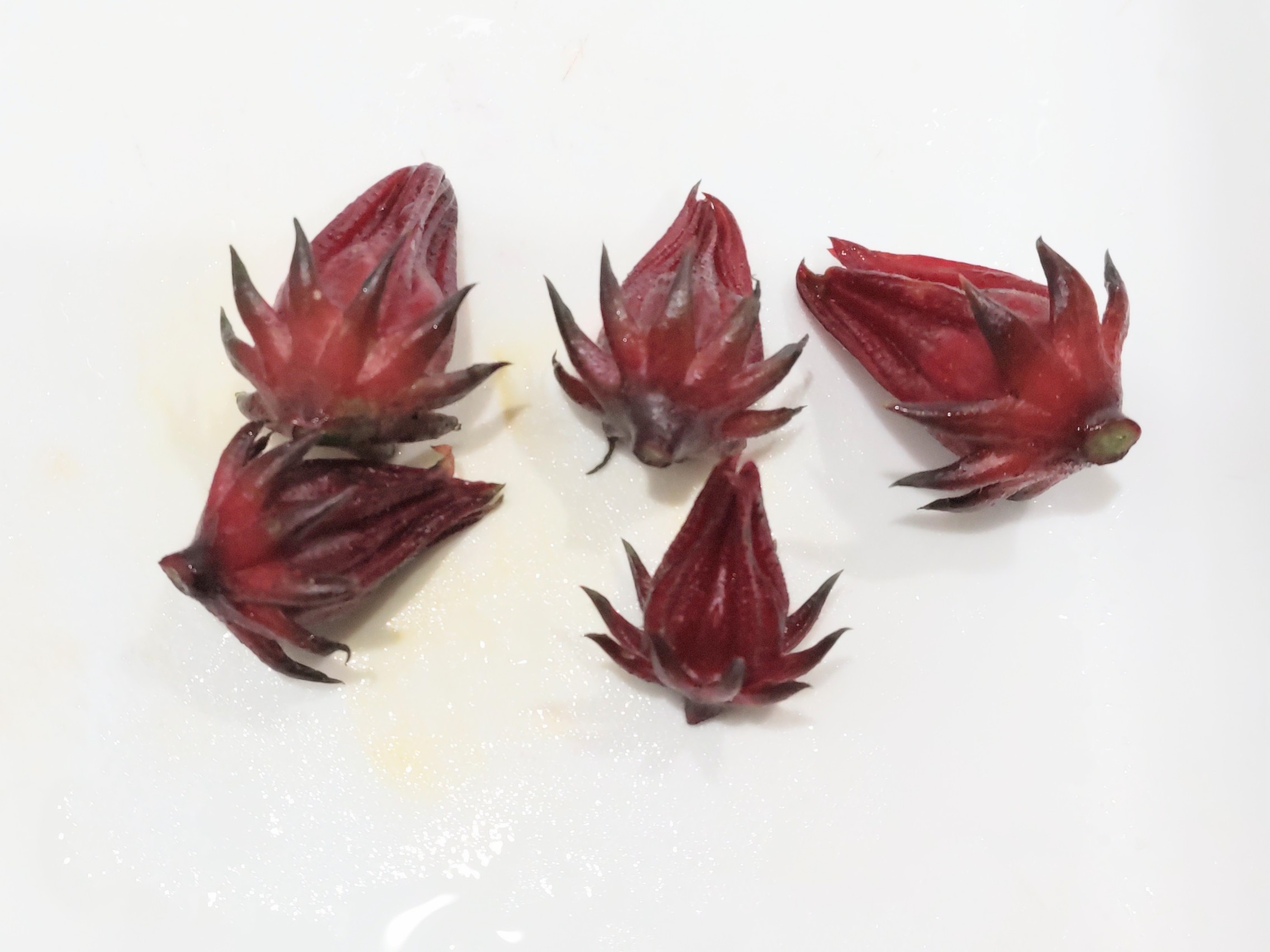 f:id:ninasimone:20231116194104j:image