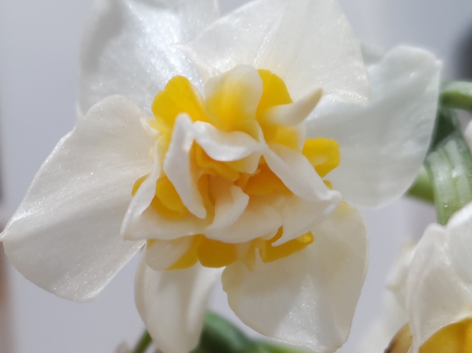 f:id:ninasimone:20240219175359j:image f:id:ninasimone:20240219175359j:image