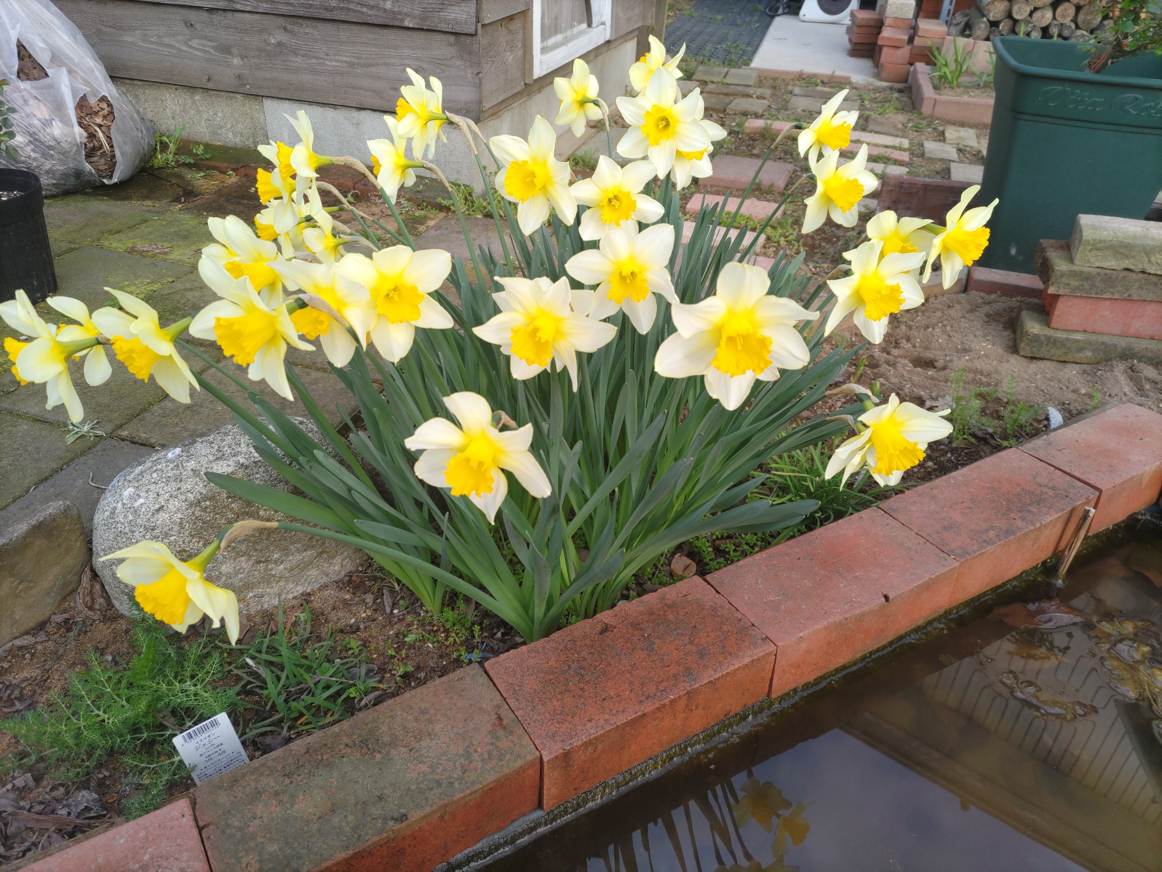 f:id:ninasimone:20240401102838j:image