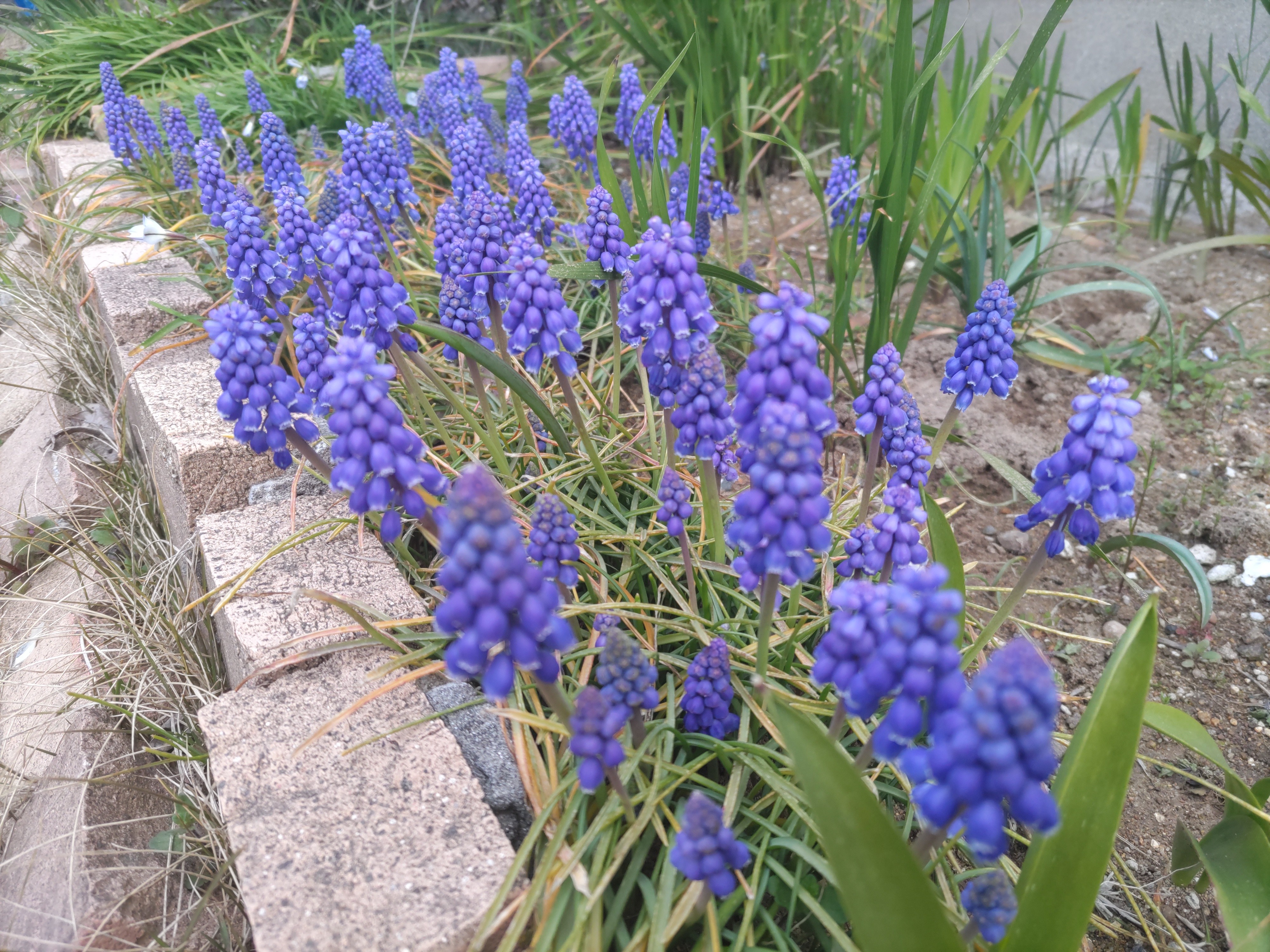 f:id:ninasimone:20240401104732j:image