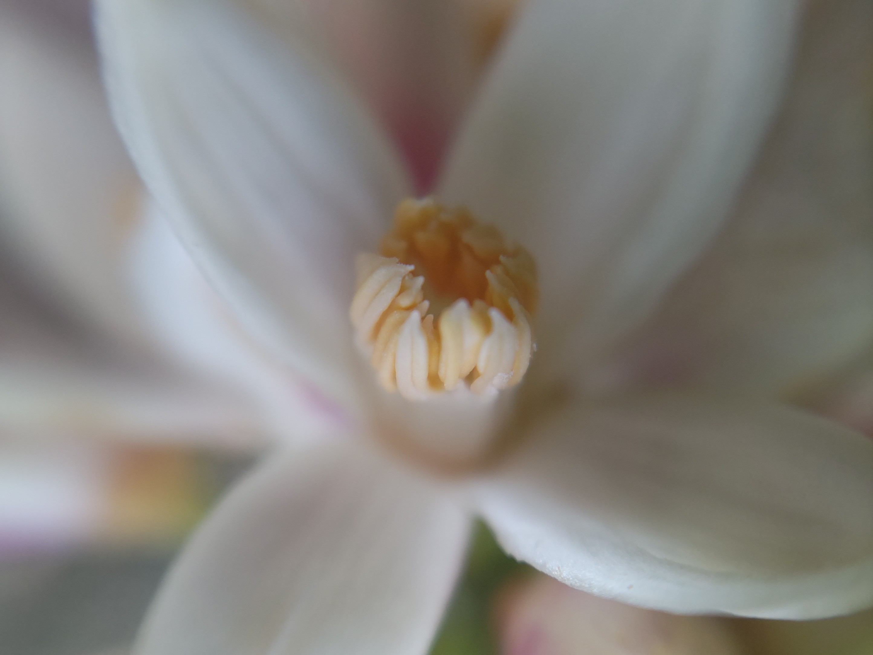 f:id:ninasimone:20240413072529j:image