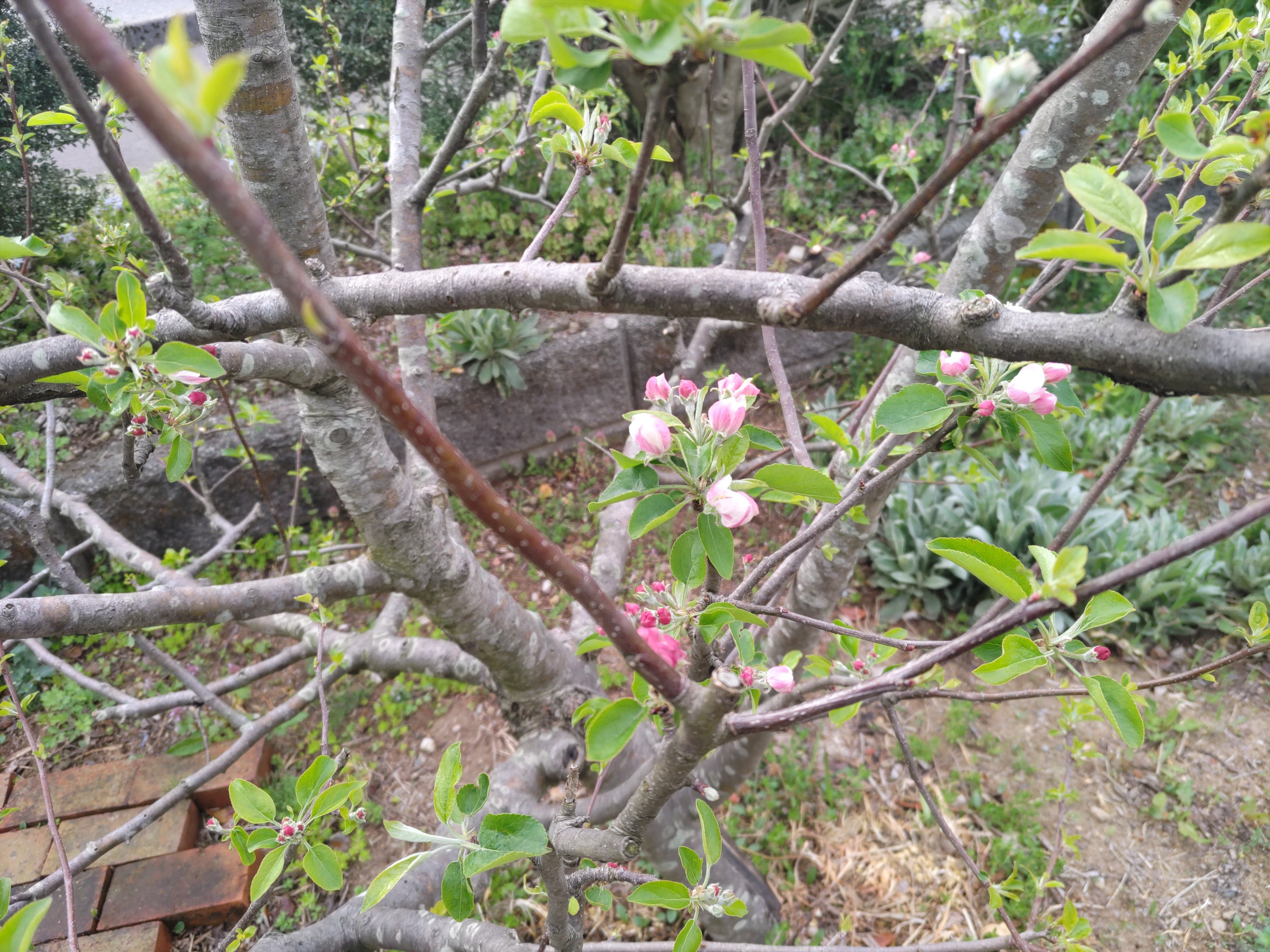 f:id:ninasimone:20240418124440j:image