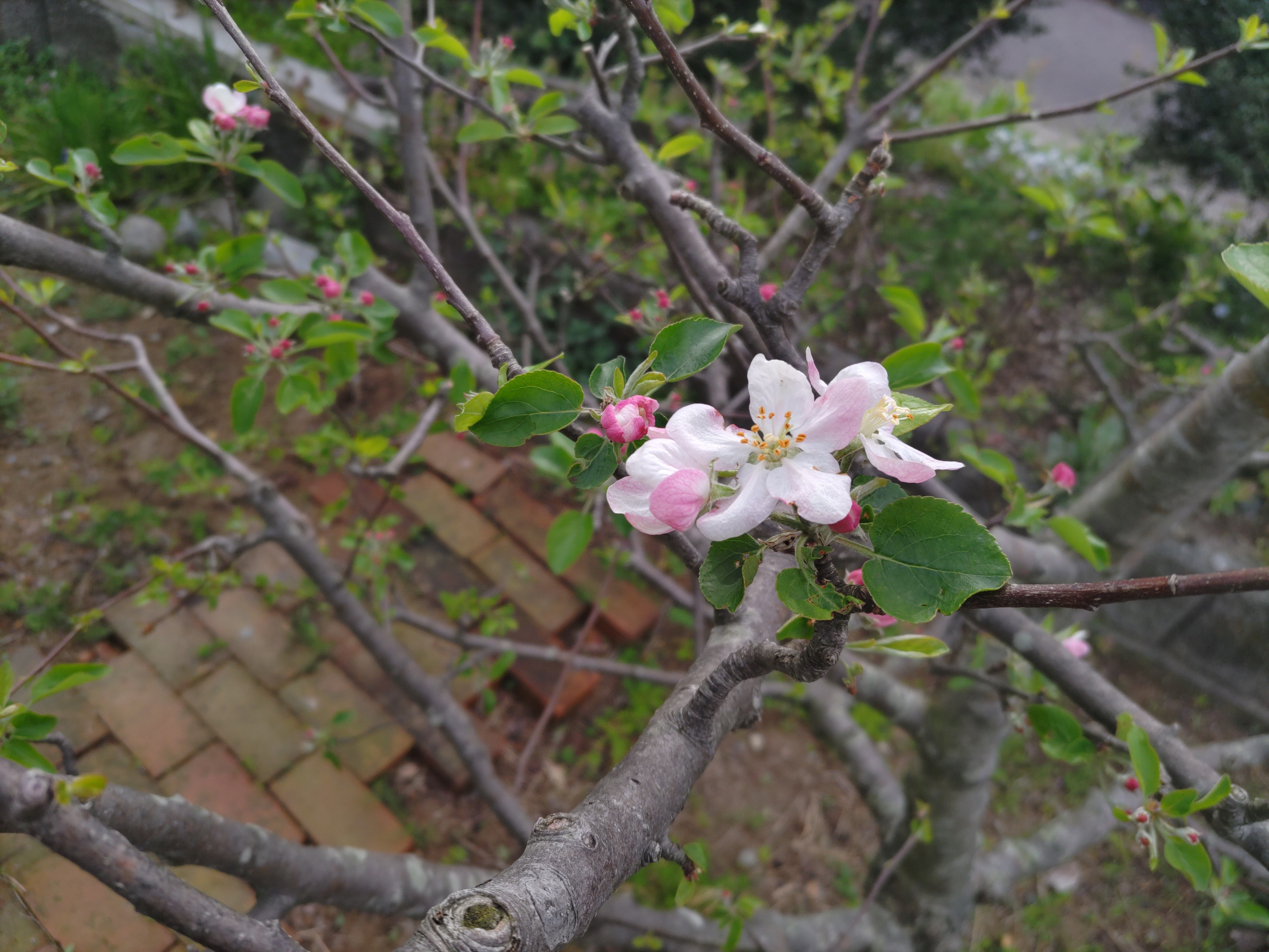 f:id:ninasimone:20240418124500j:image