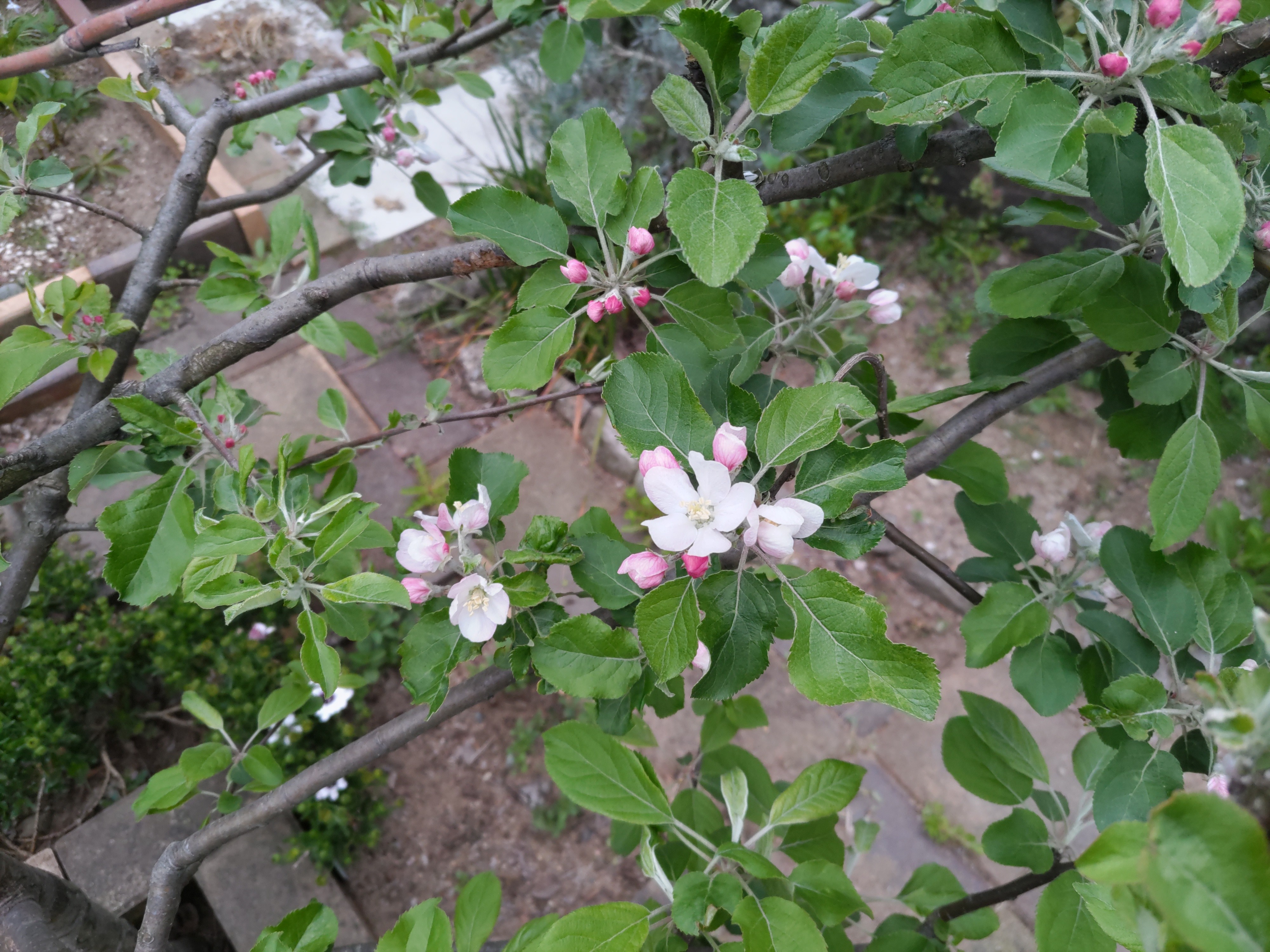 f:id:ninasimone:20240421133010j:image f:id:ninasimone:20240421133010j:image
