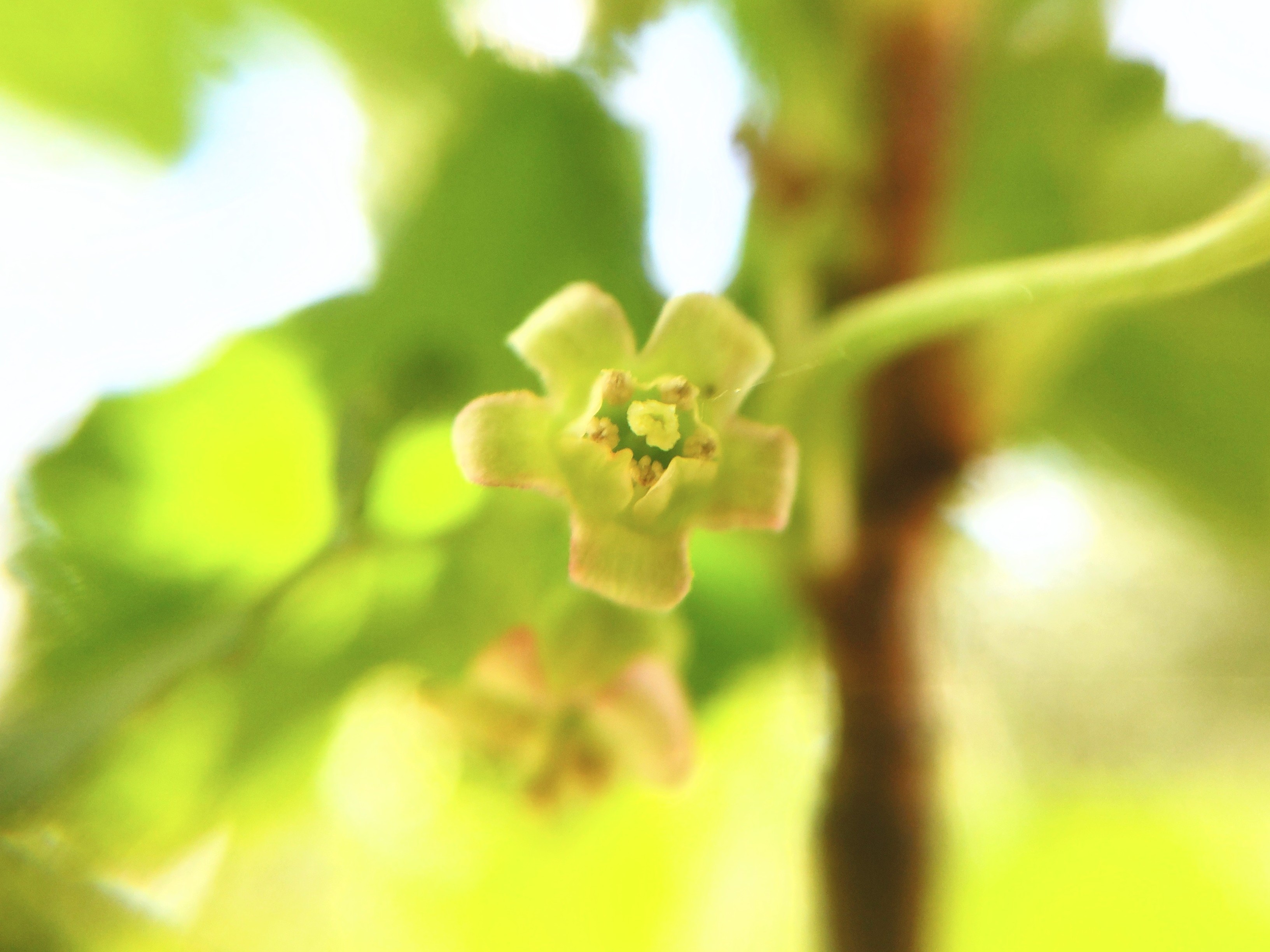 f:id:ninasimone:20240428080622j:image