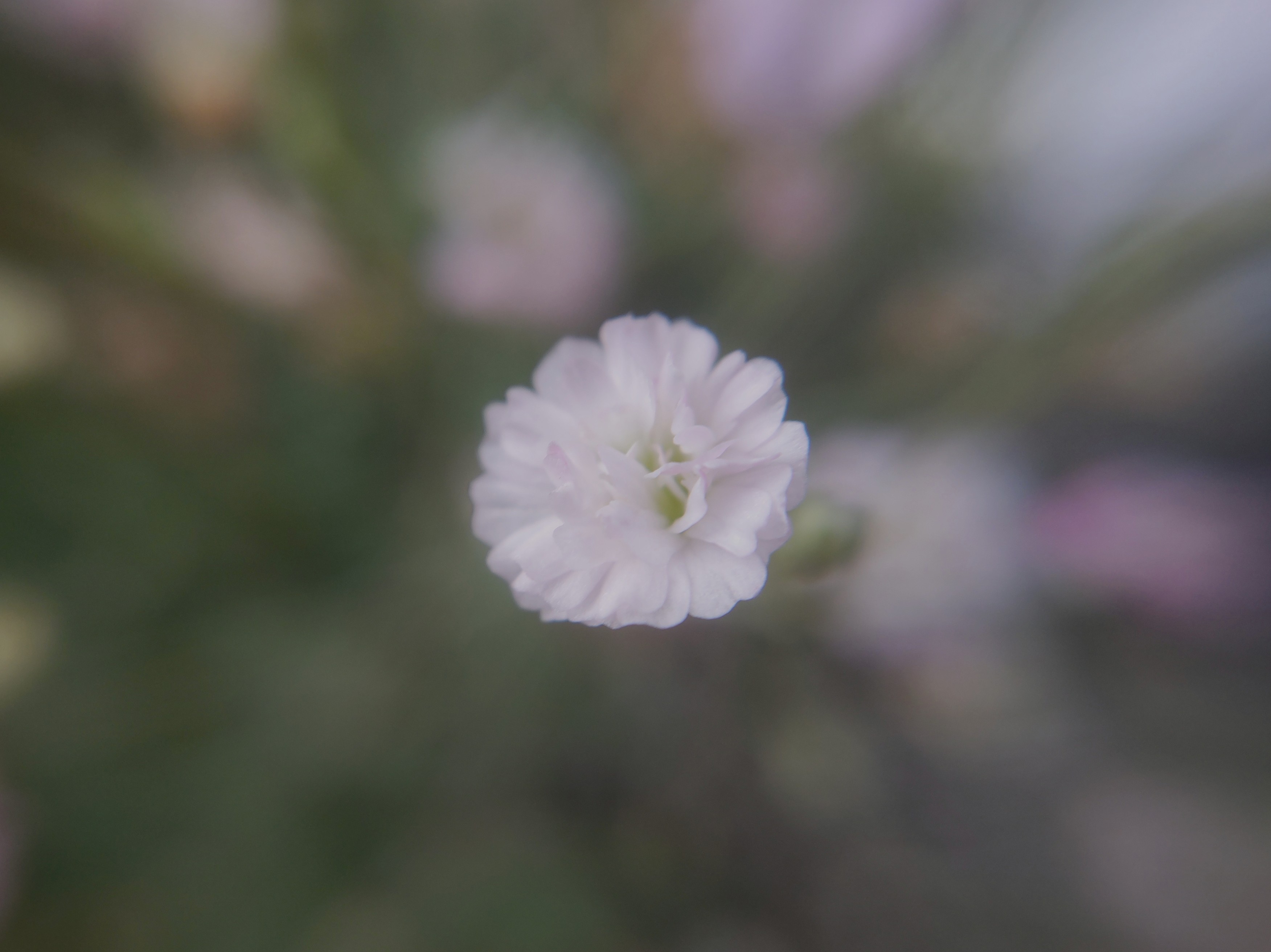f:id:ninasimone:20240722152513j:image
