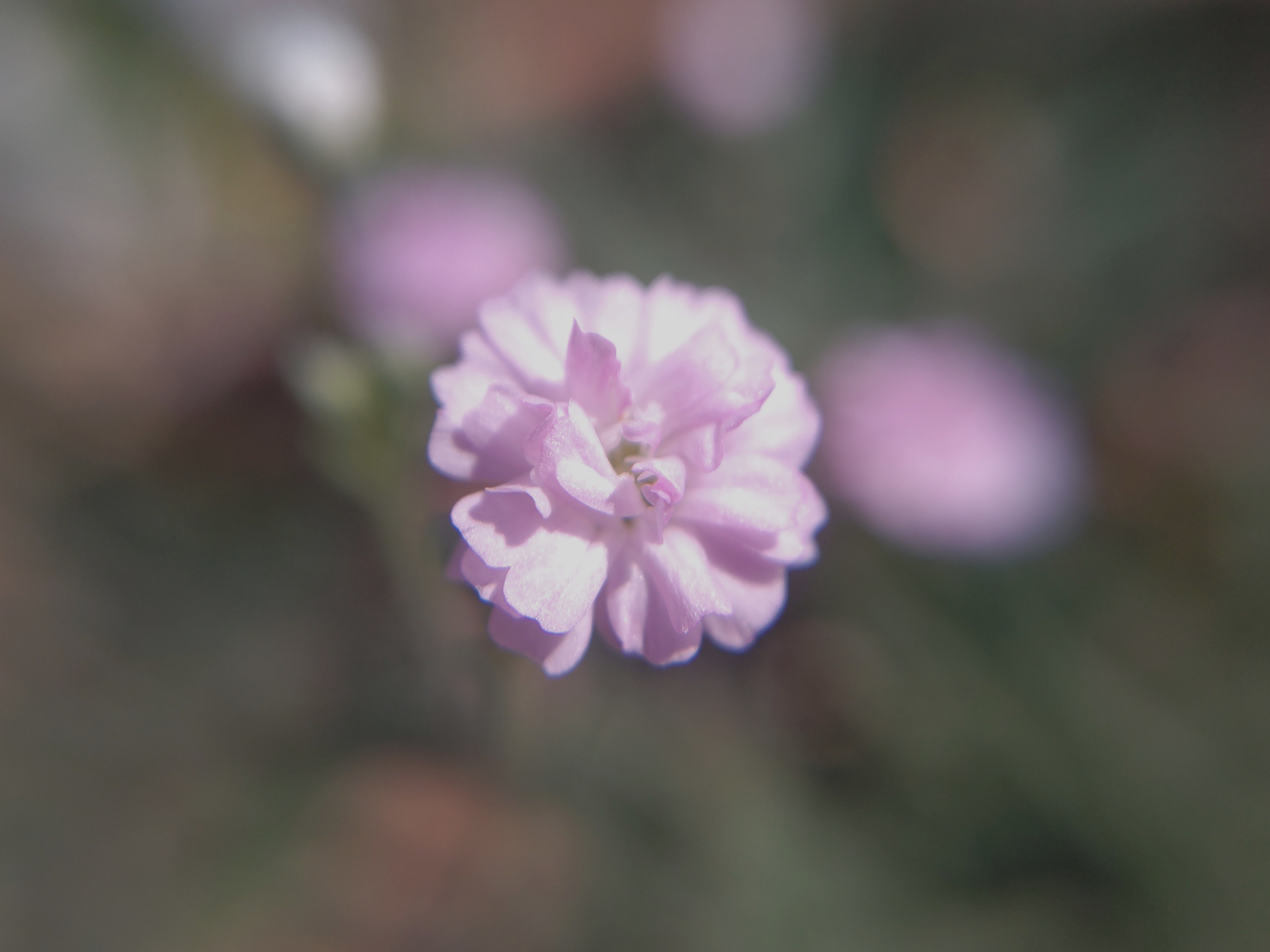 f:id:ninasimone:20240722152610j:image