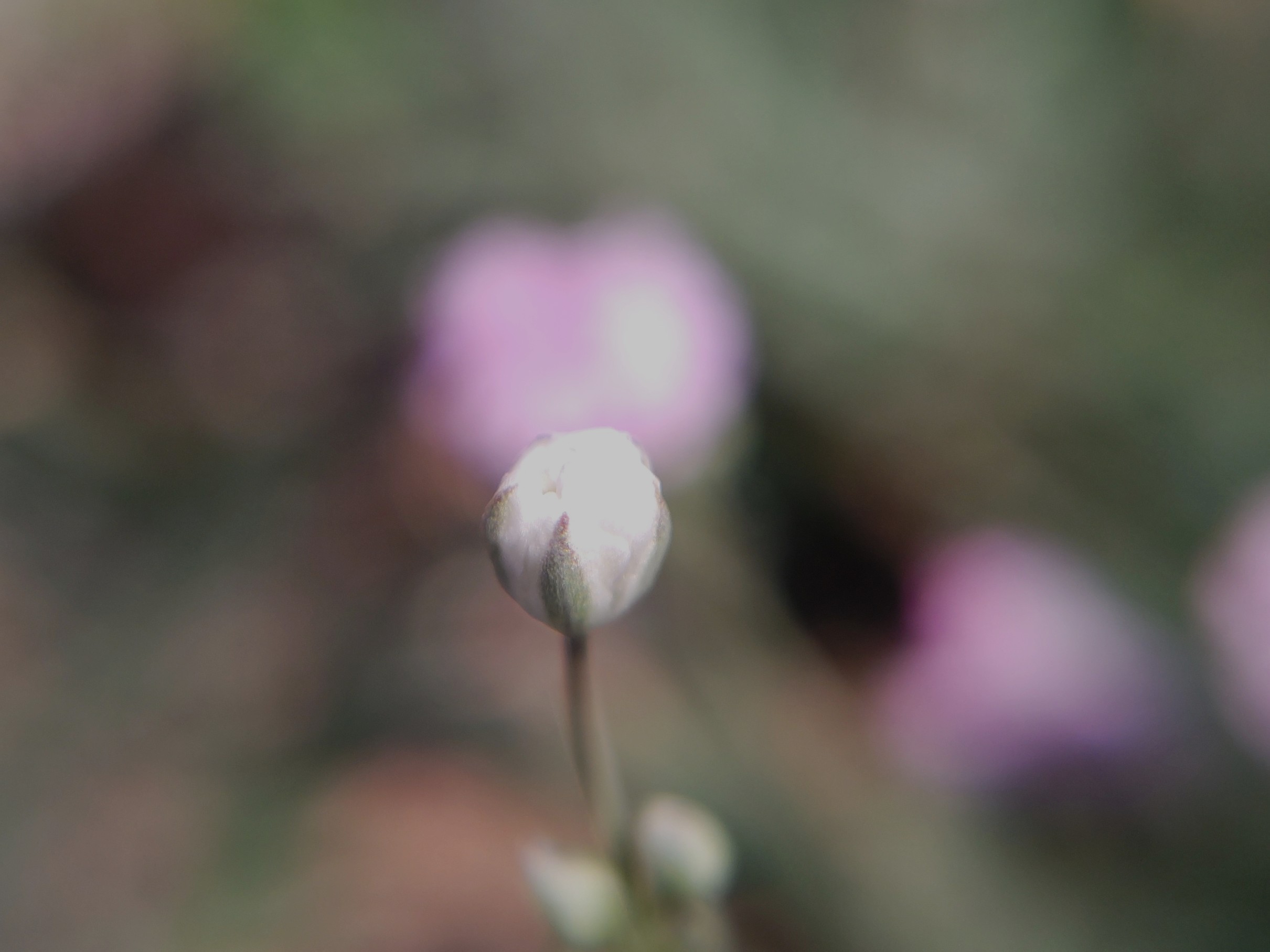 f:id:ninasimone:20240722152716j:image