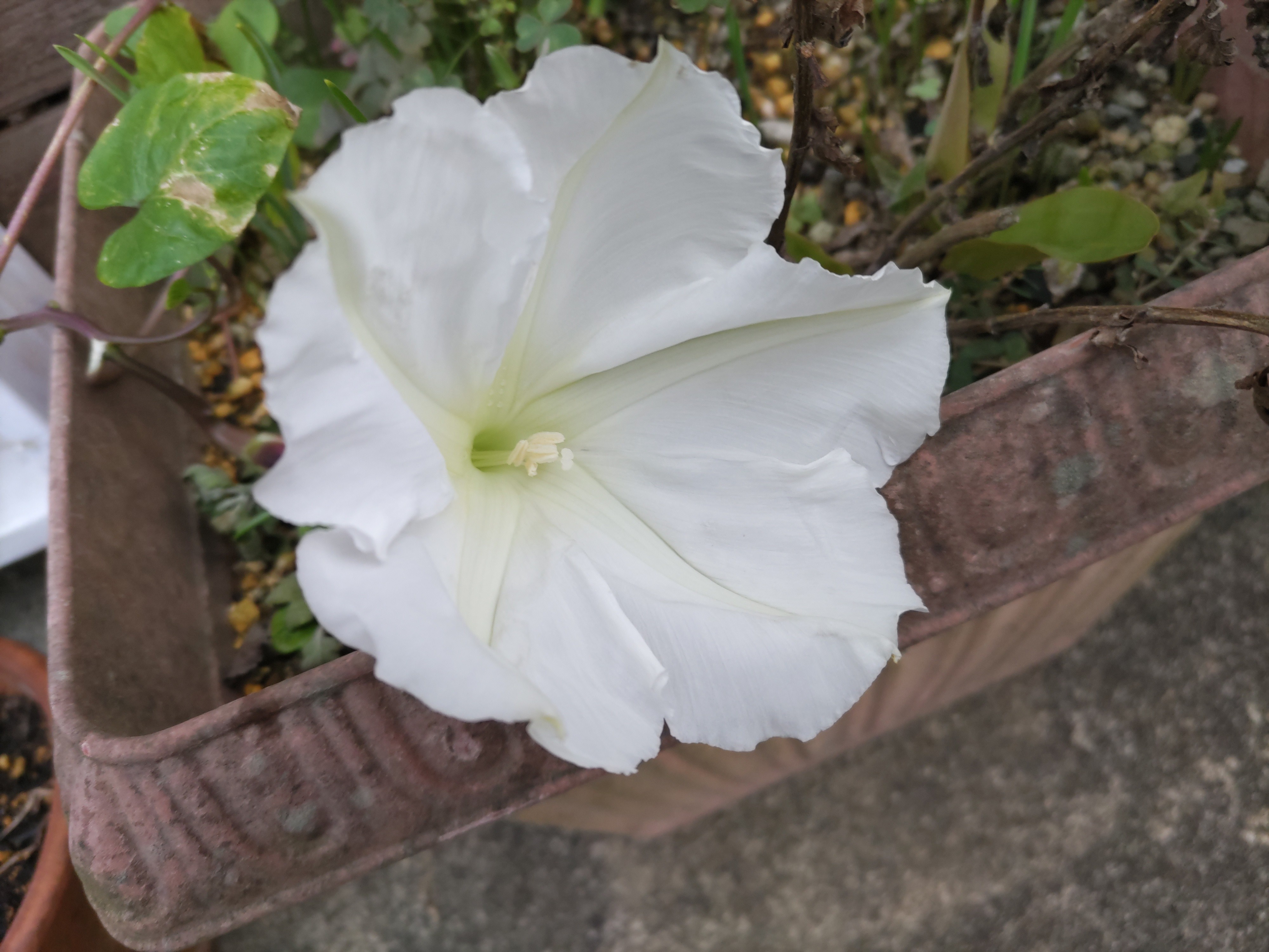 f:id:ninasimone:20240930164148j:image