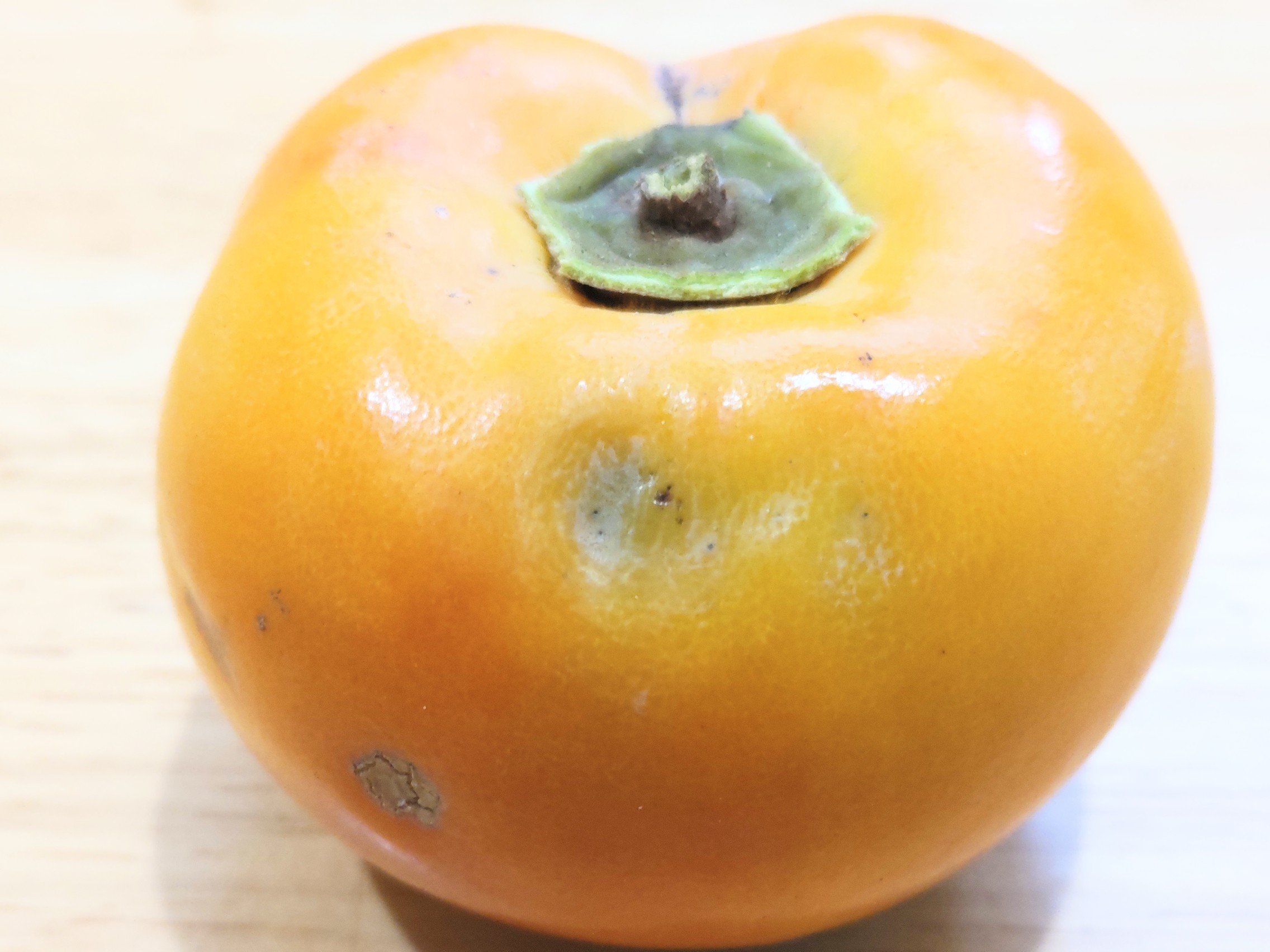 f:id:ninasimone:20241023101410j:image f:id:ninasimone:20241023101410j:image