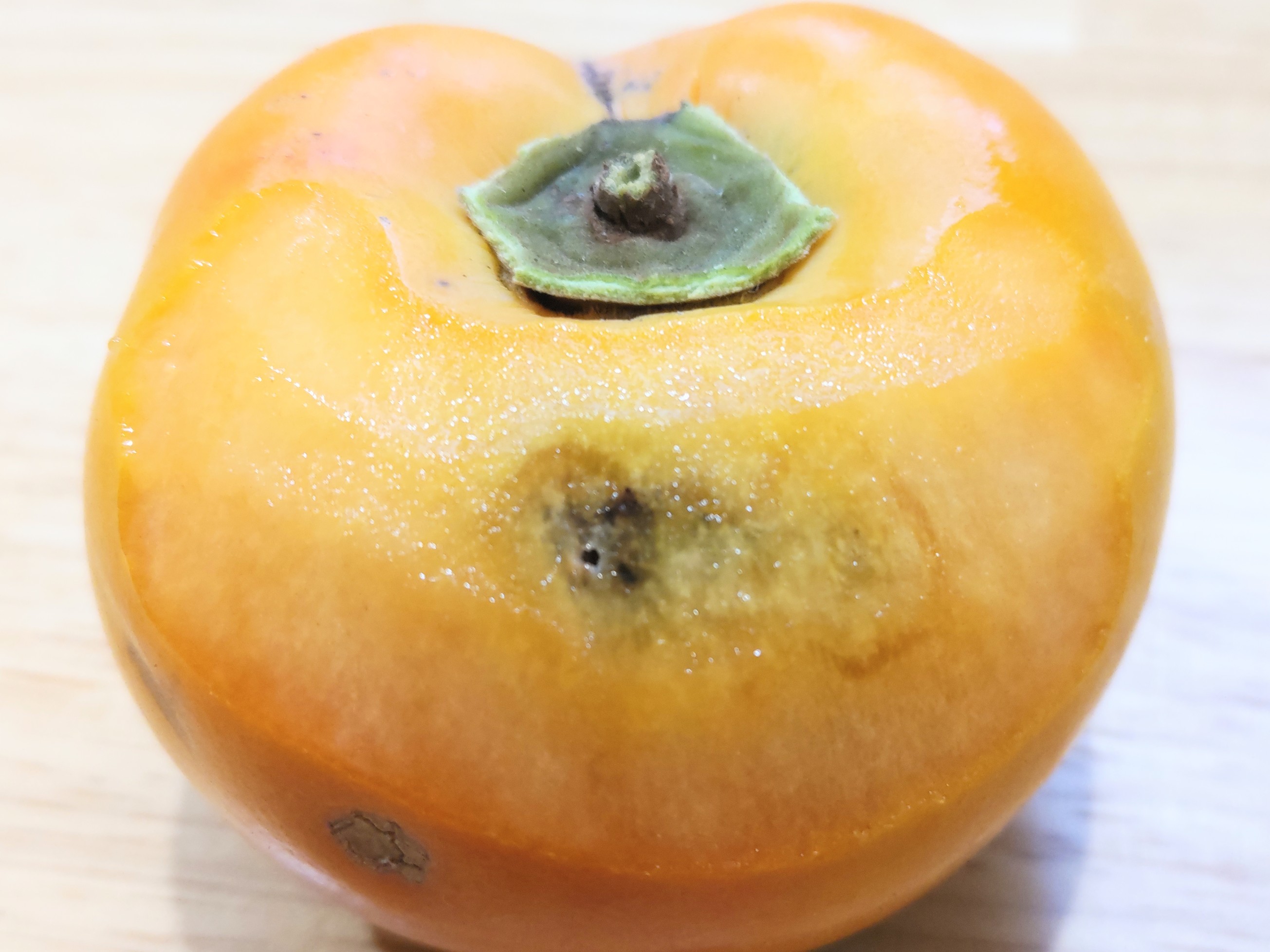 f:id:ninasimone:20241023101423j:image f:id:ninasimone:20241023101423j:image