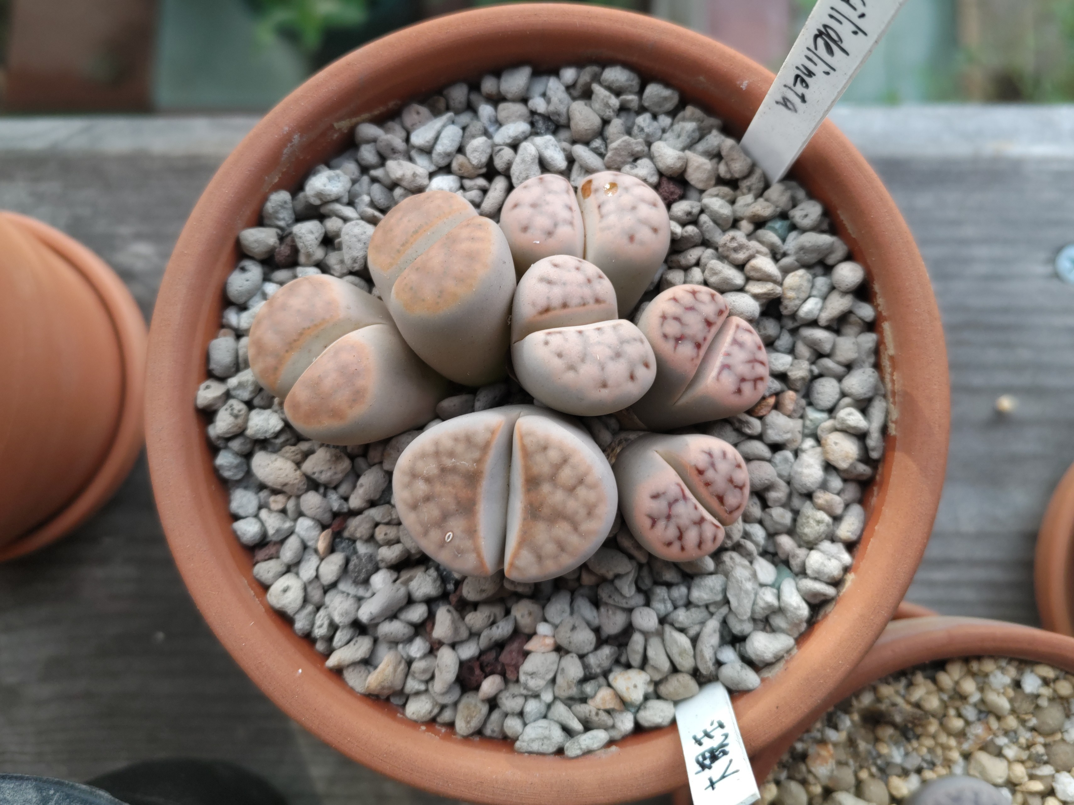 f:id:ninasimone:20241025065401j:image f:id:ninasimone:20241025065401j:image