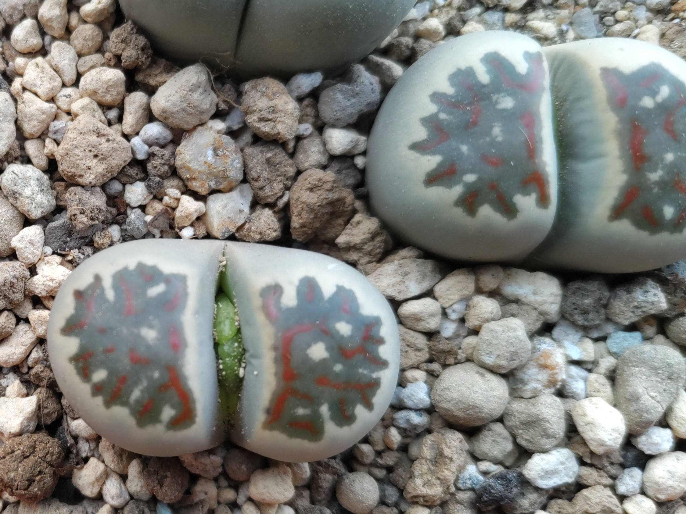 f:id:ninasimone:20241025065436j:image f:id:ninasimone:20241025065436j:image