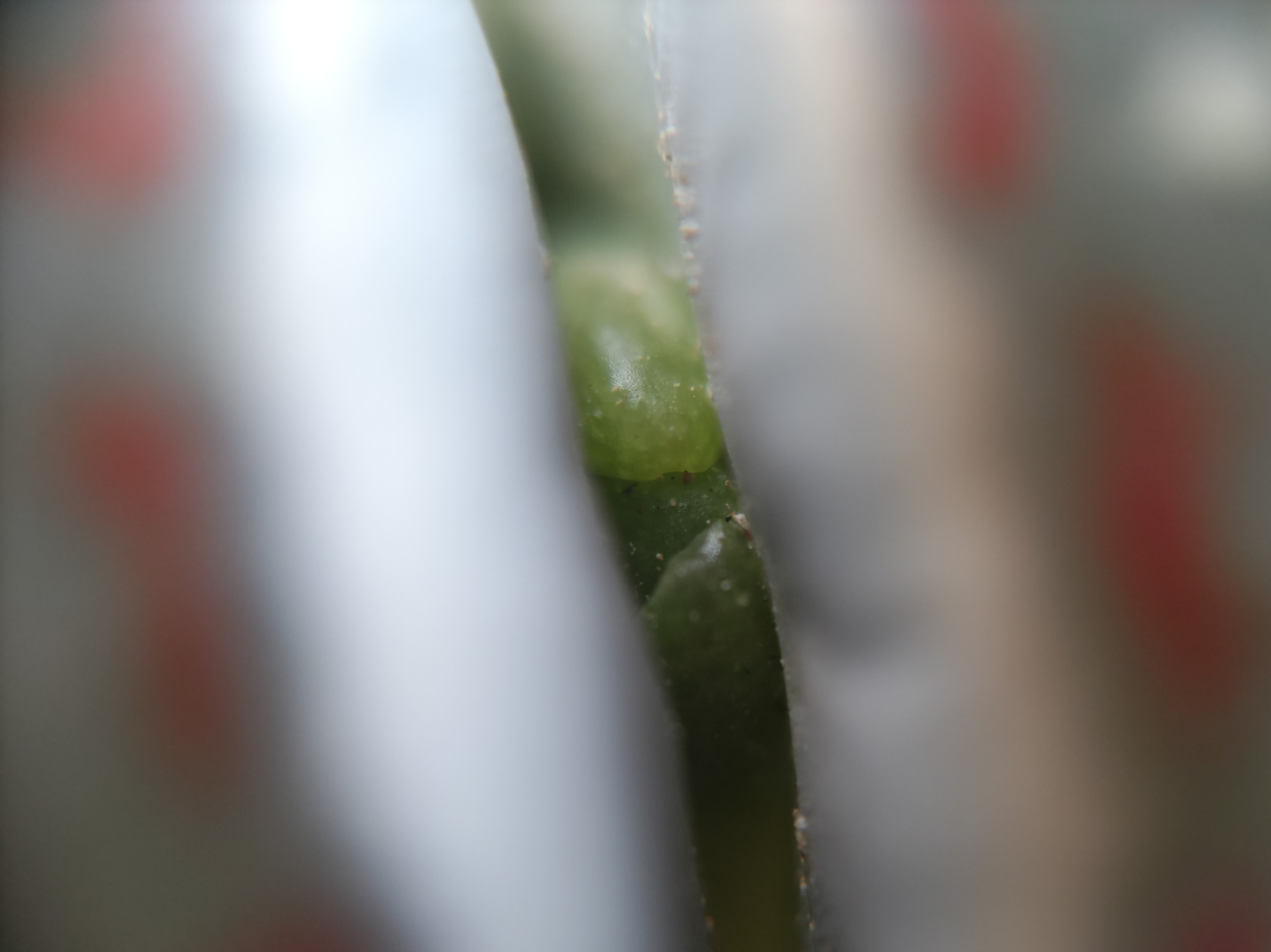 f:id:ninasimone:20241025065450j:image f:id:ninasimone:20241025065450j:image