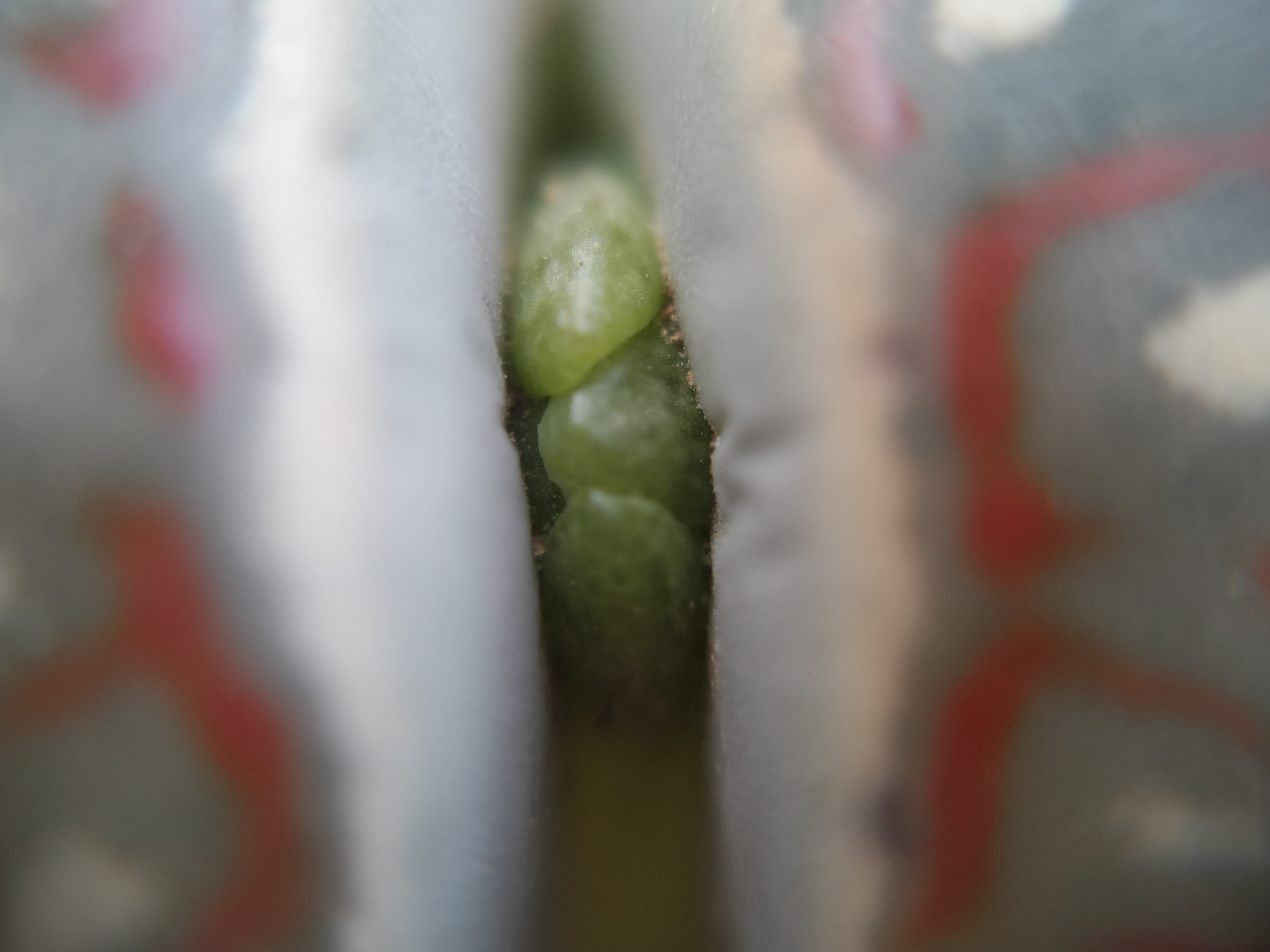 f:id:ninasimone:20241025065502j:image f:id:ninasimone:20241025065502j:image