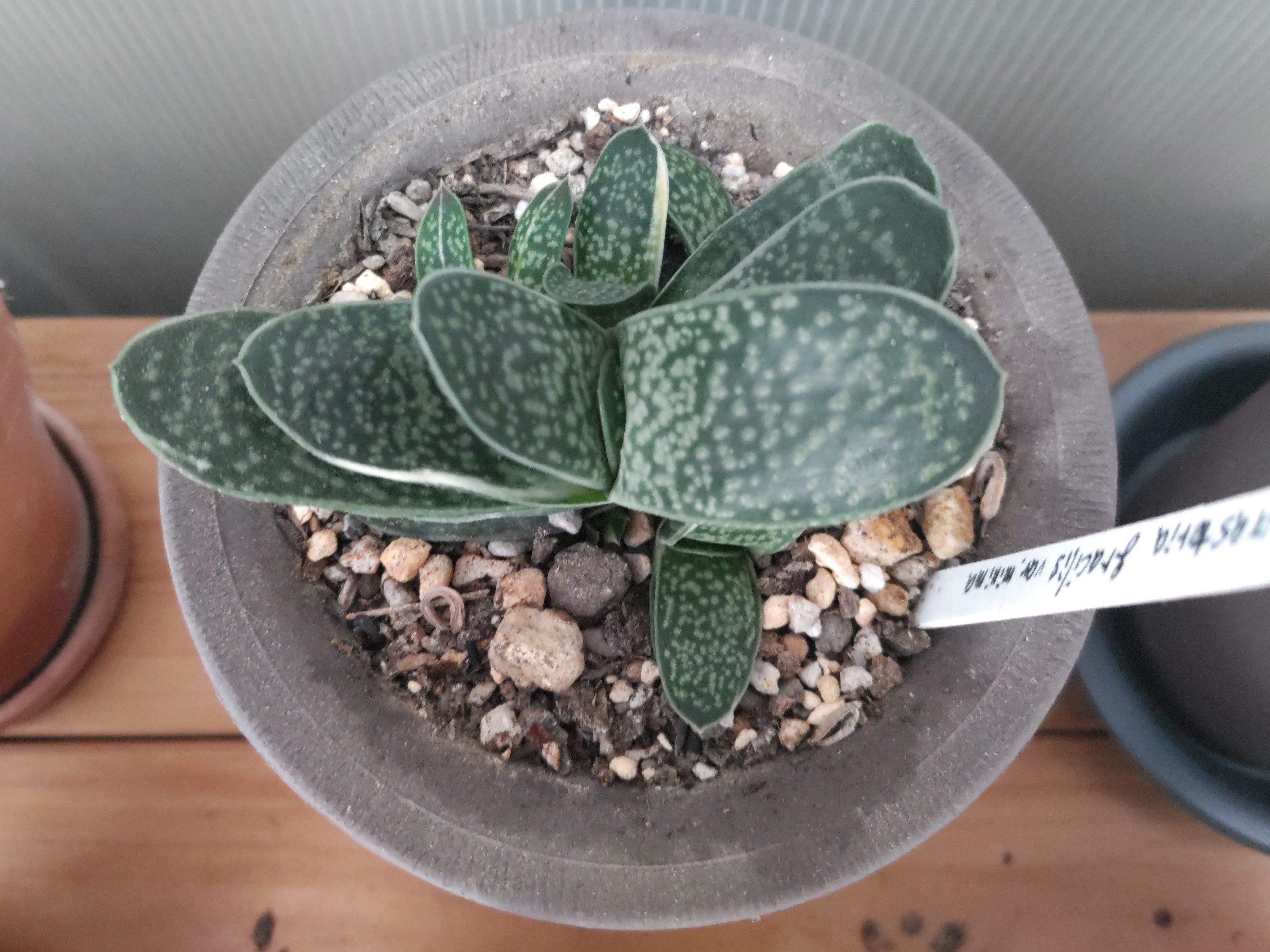 f:id:ninasimone:20241029071511j:image f:id:ninasimone:20241029071511j:image