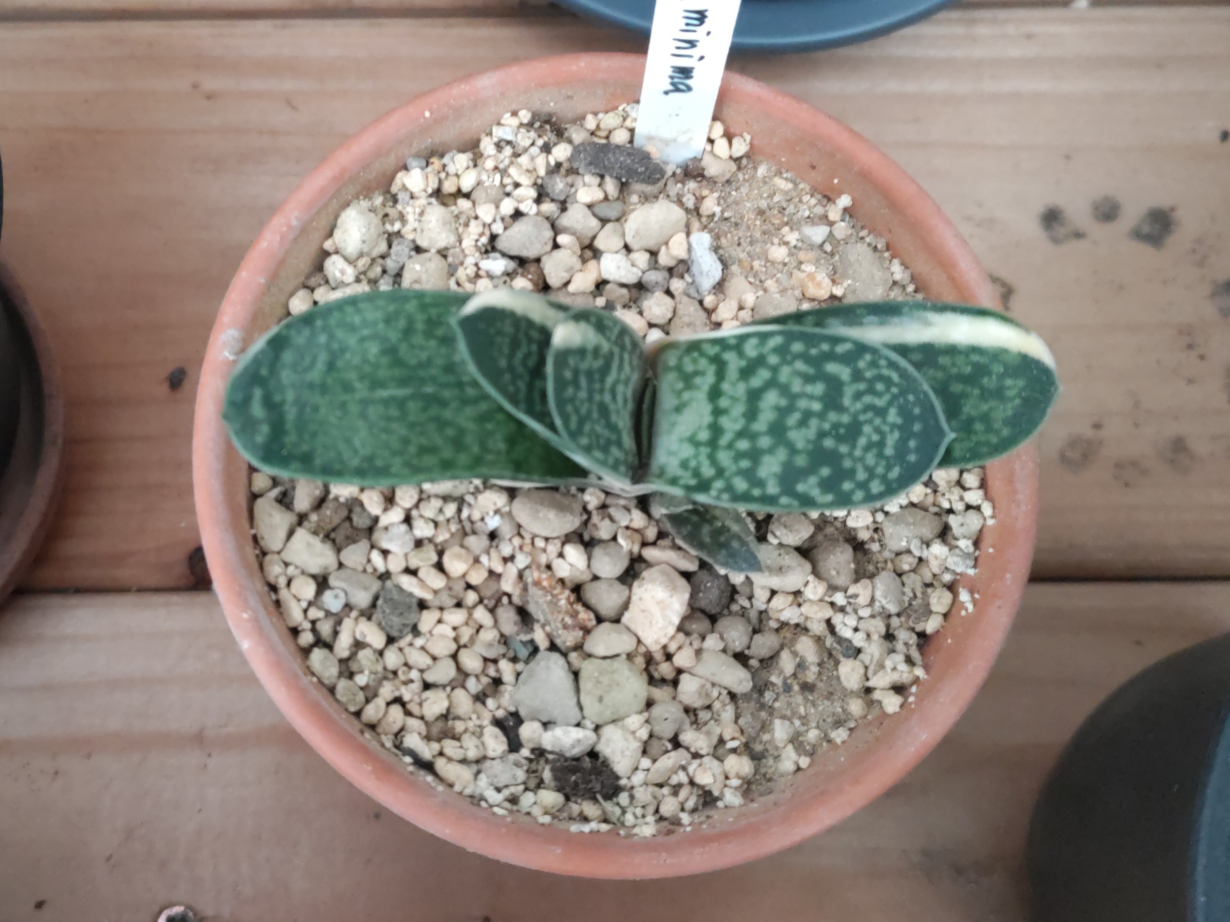 f:id:ninasimone:20241029071529j:image f:id:ninasimone:20241029071529j:image