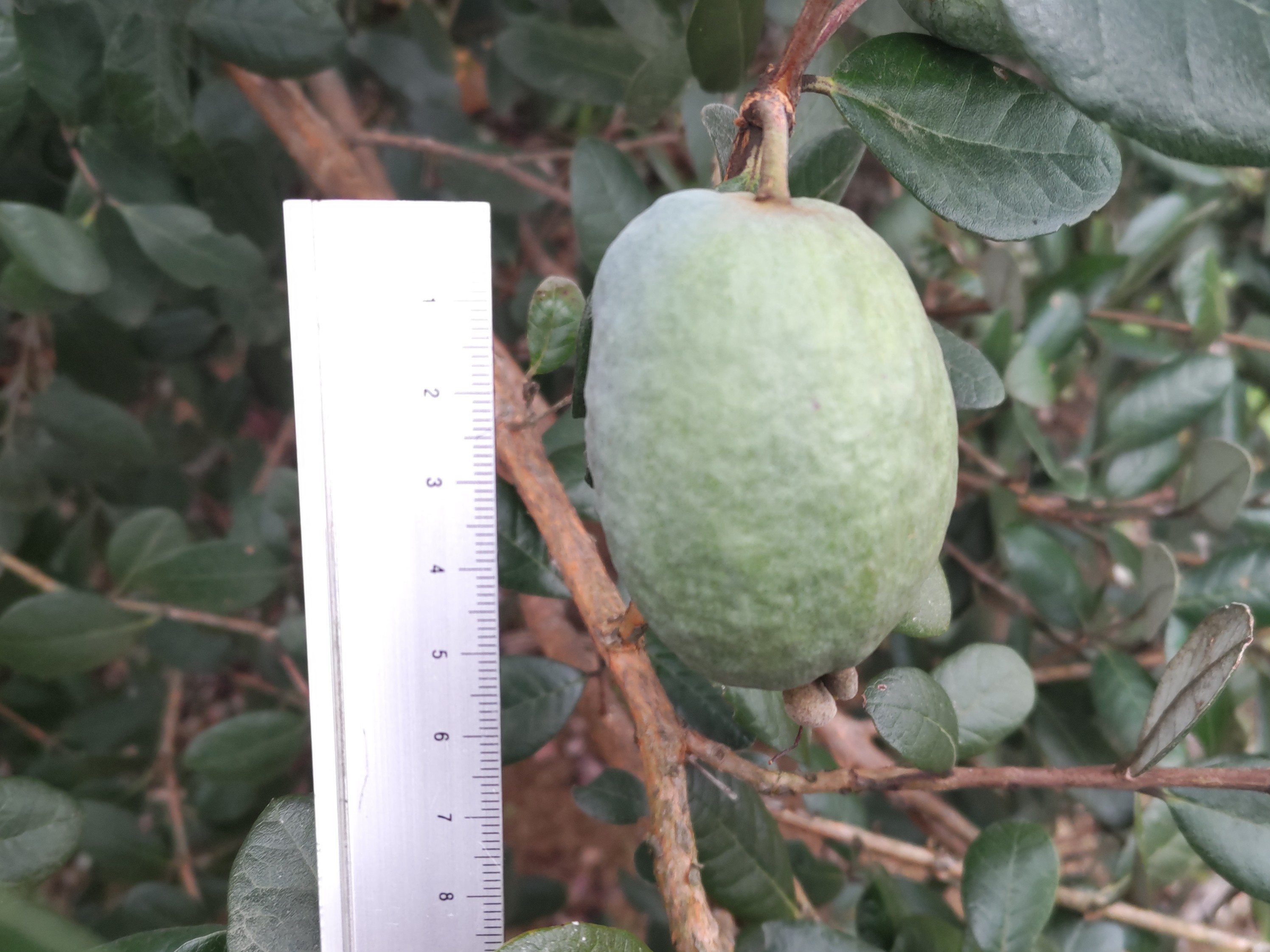 f:id:ninasimone:20241107075757j:image f:id:ninasimone:20241107075757j:image