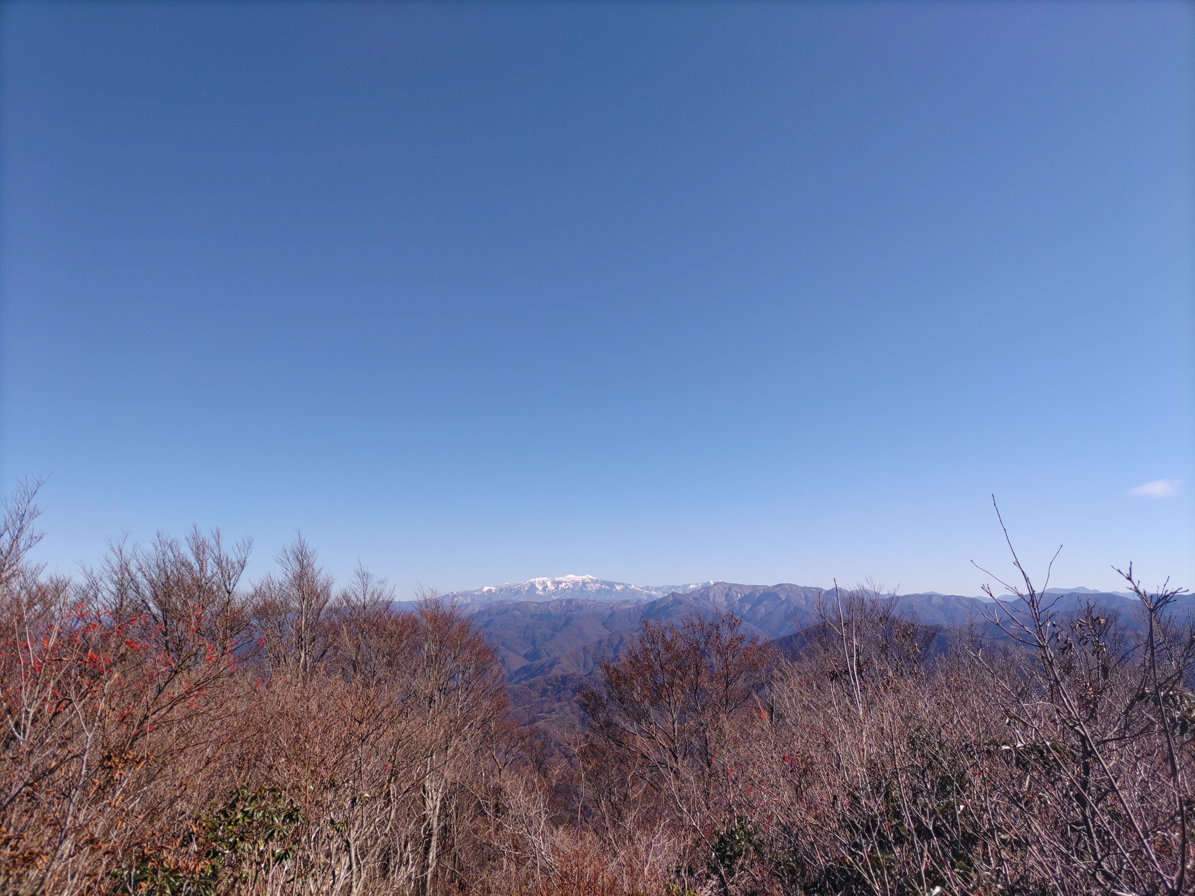 f:id:ninasimone:20241126200612j:image
